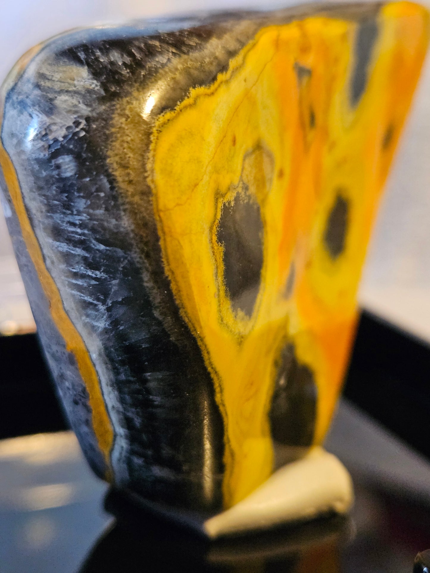 Bumble Bee Jasper FF [Indonesia]