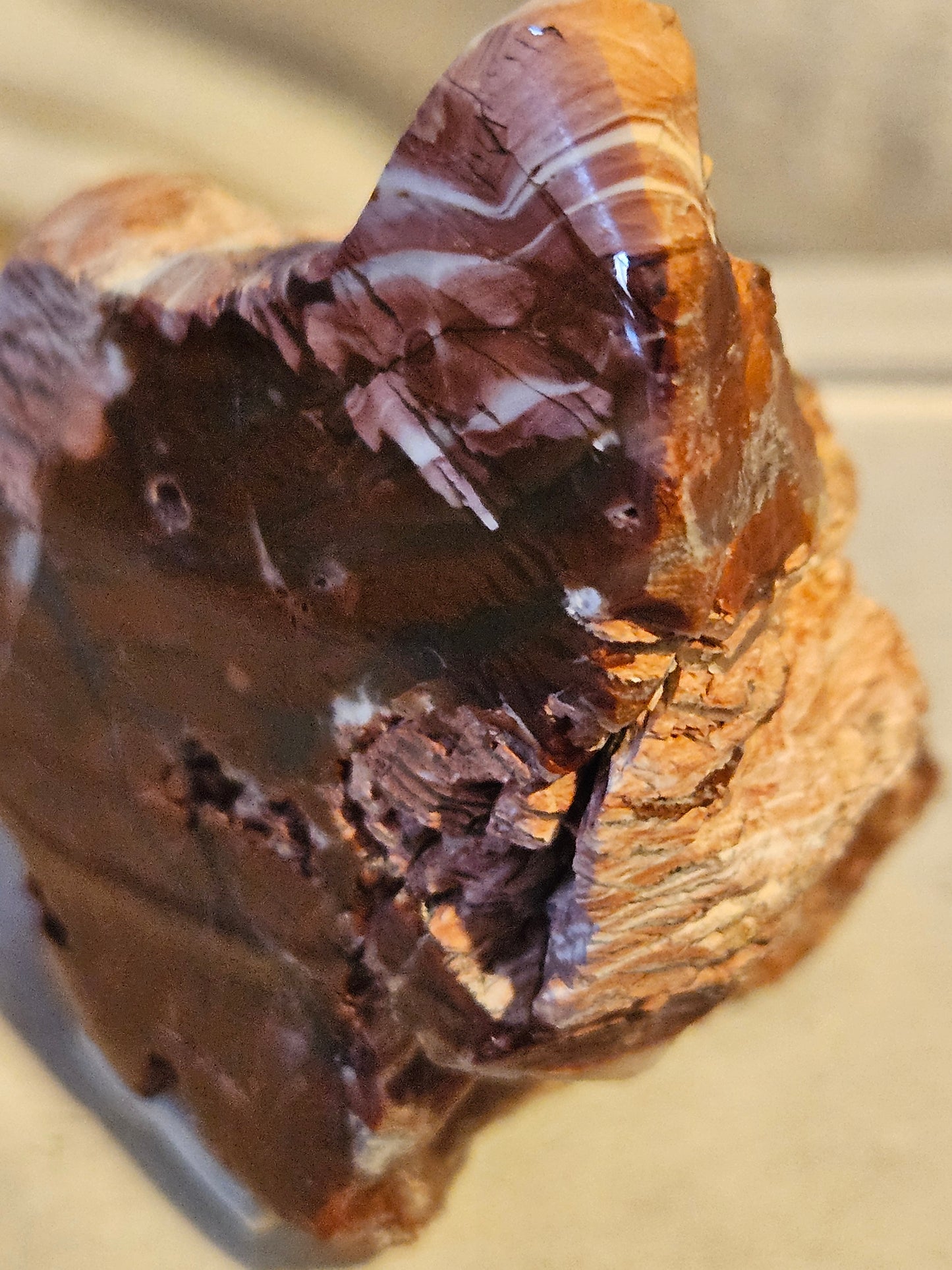 Royal Flamingo Agate [Howardite] - (Nevada)