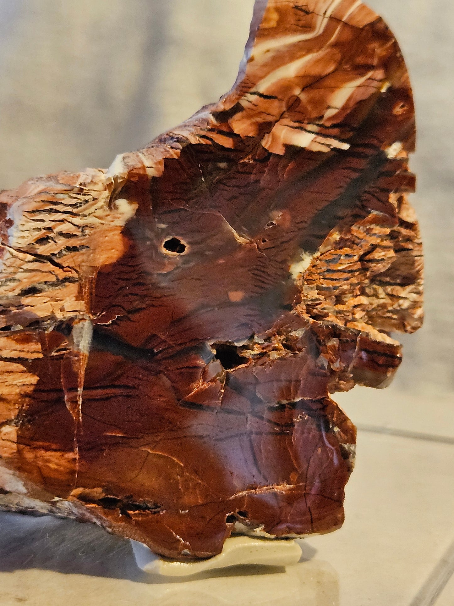 Royal Flamingo Agate [Howardite] - (Nevada)