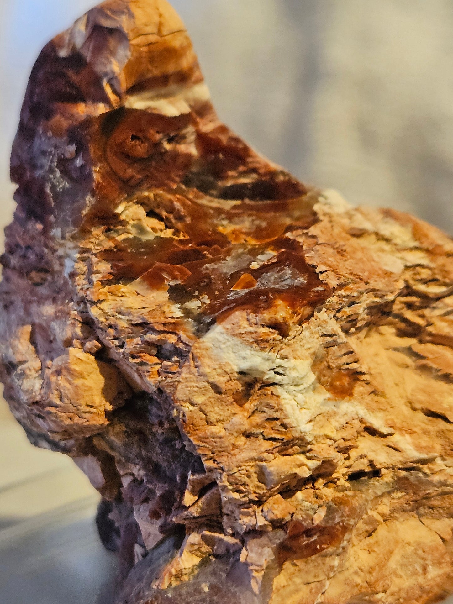 Royal Flamingo Agate [Howardite] - (Nevada)