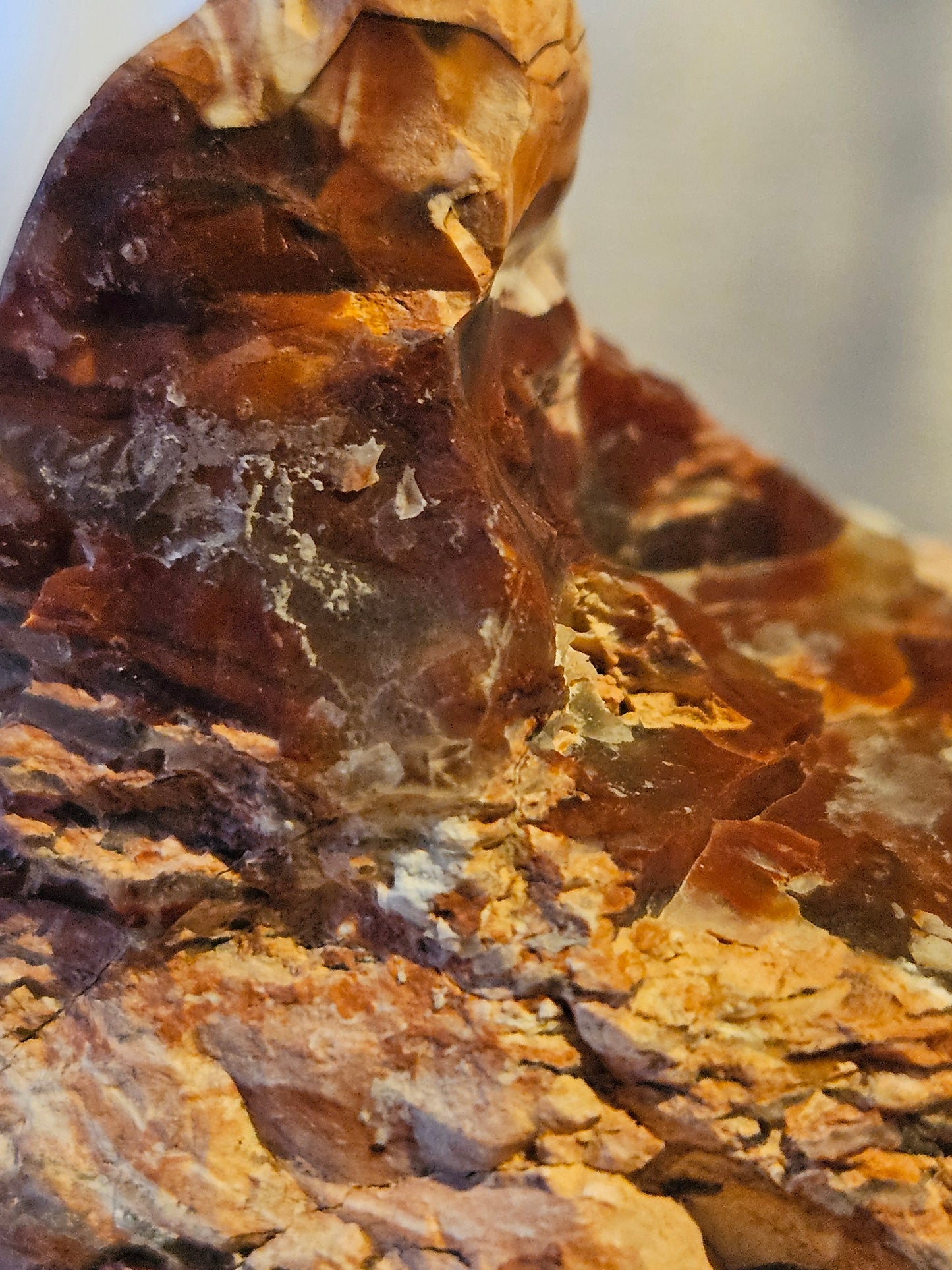 Royal Flamingo Agate [Howardite] - (Nevada)