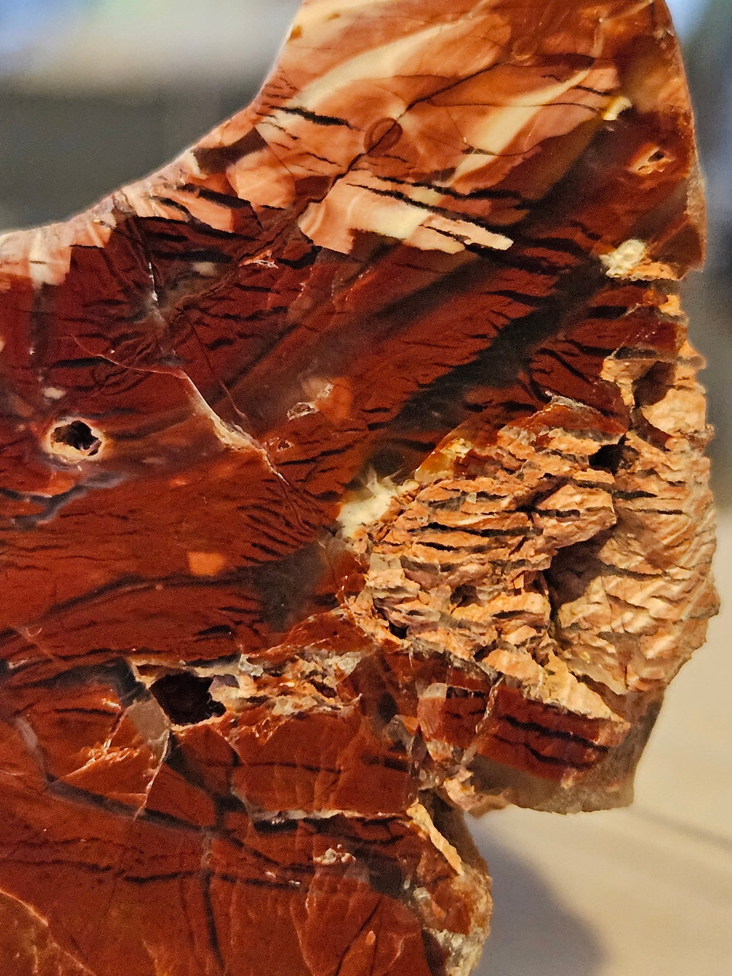 Royal Flamingo Agate [Howardite] - (Nevada)