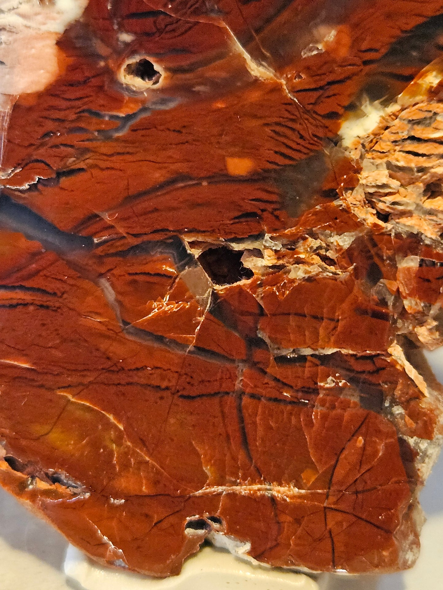 Royal Flamingo Agate [Howardite] - (Nevada)