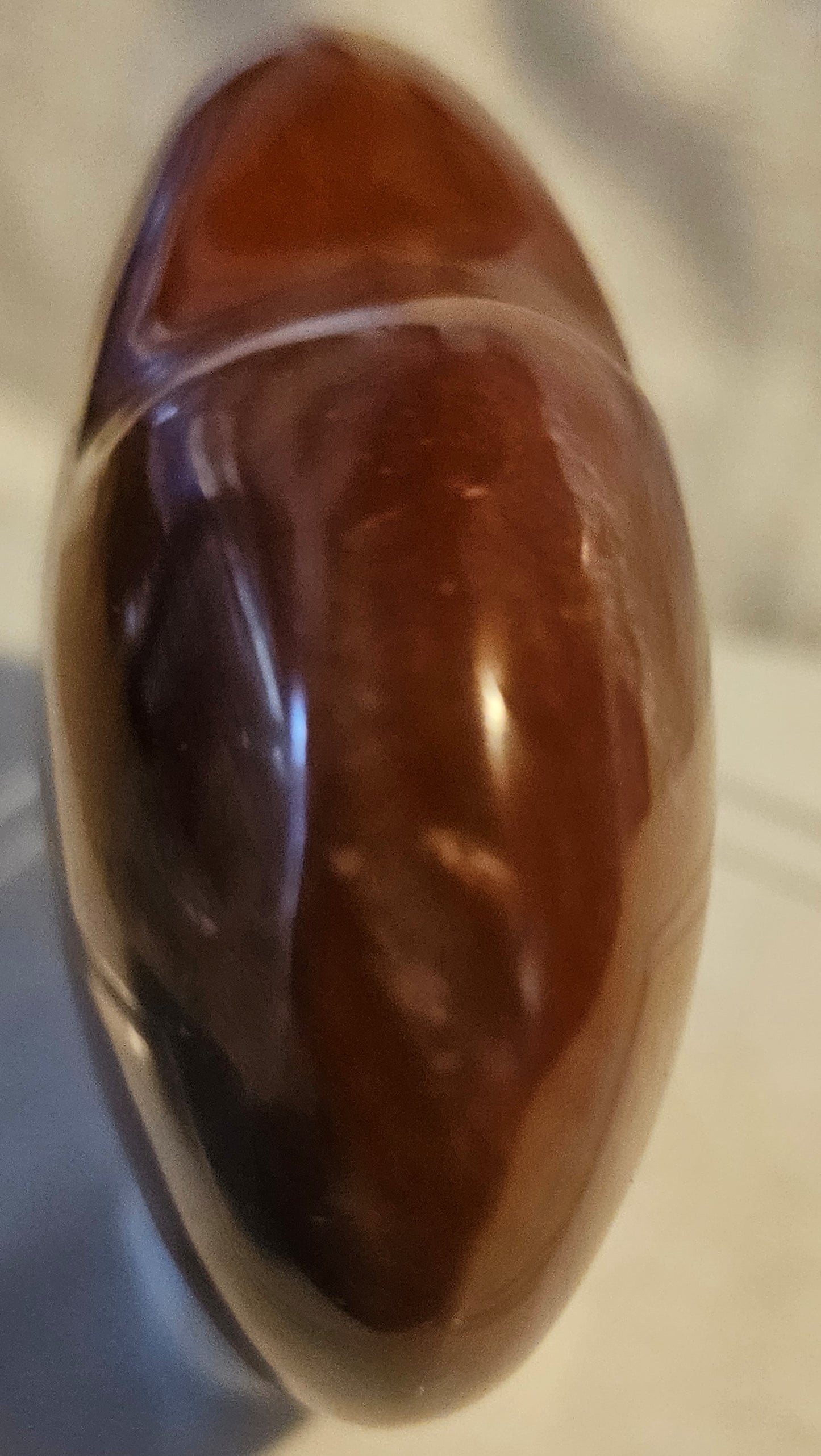 Polished Triassic Petrified Wood Heart - [Madagascar]  - 220 Million Years