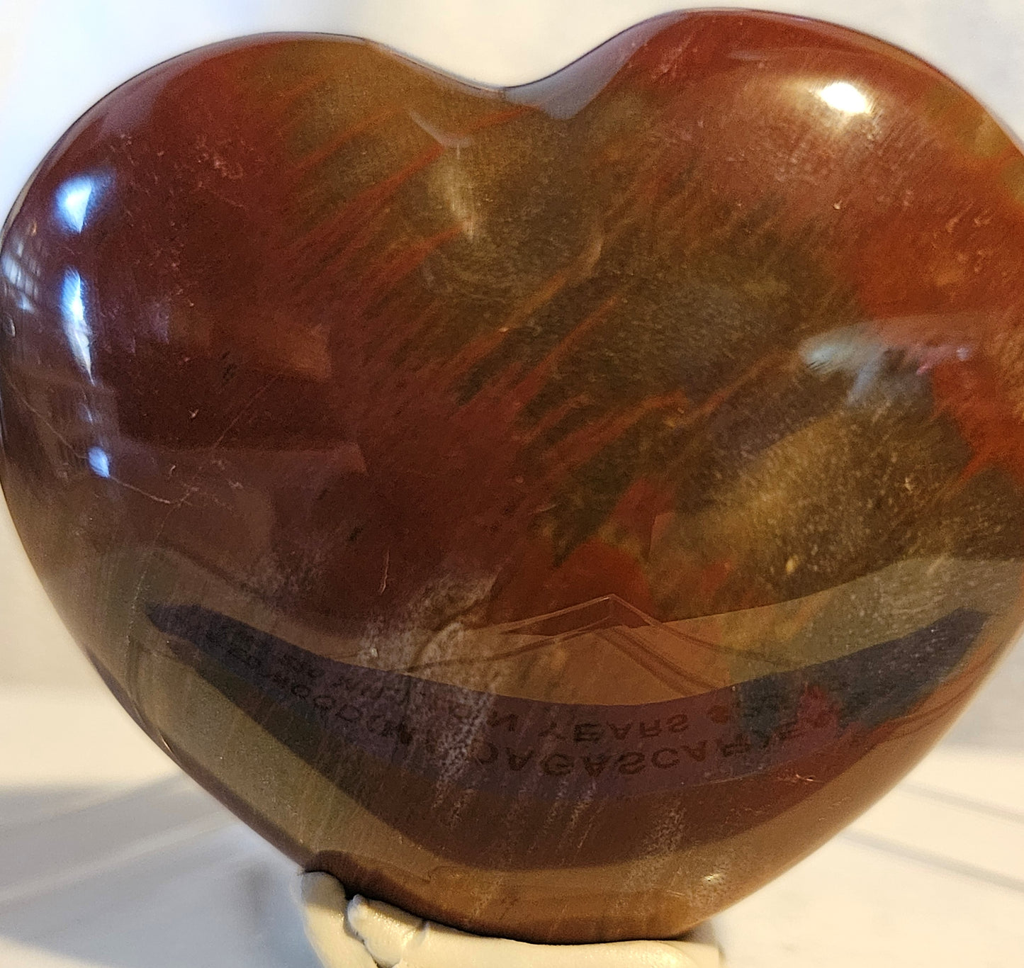 Polished Triassic Petrified Wood Heart - [Madagascar]  - 220 Million Years