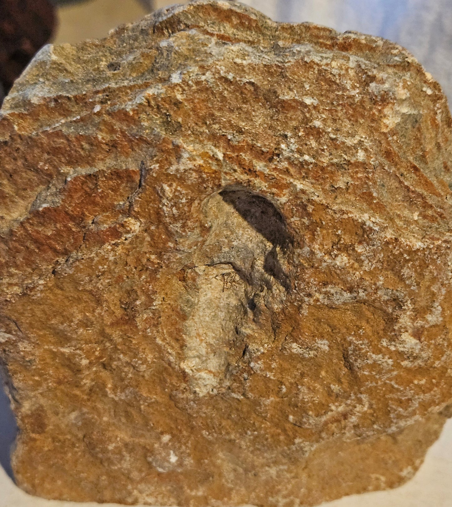 Serpentine Hand-Carved Owl Gemstone Animal Figurine [Zimbabwe]