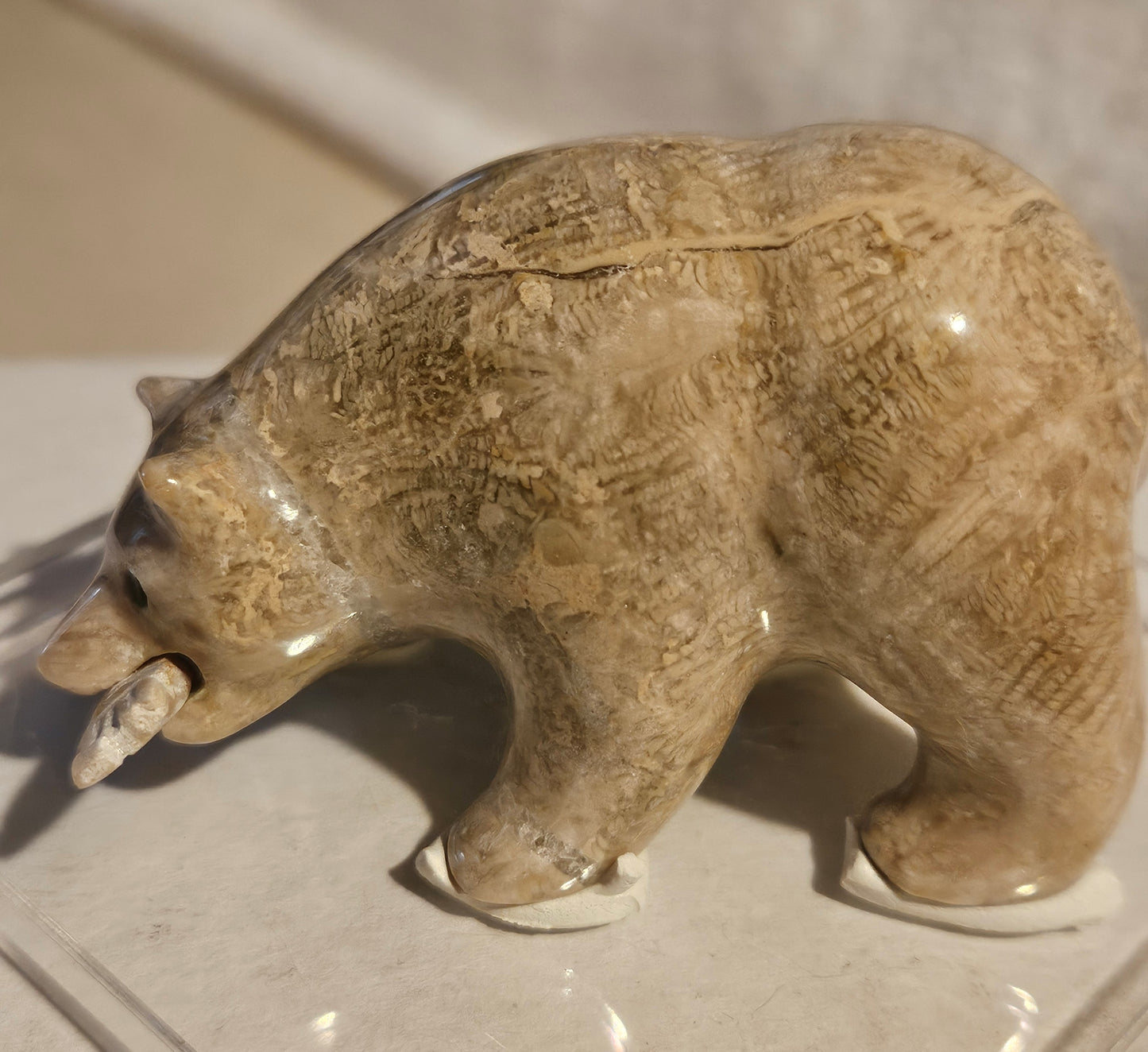 Polished Fossil Coral Bear w/ fish [25 million years old] [Philippines]