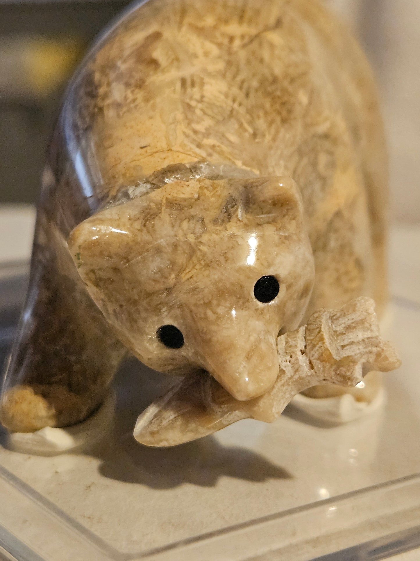 Polished Fossil Coral Bear w/ fish [25 million years old] [Philippines]