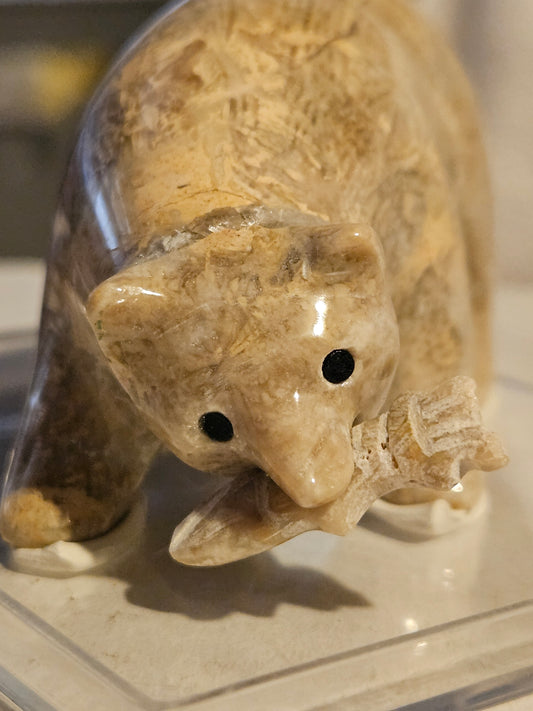 Polished Fossil Coral Bear w/ fish [25 million years old] [Philippines]
