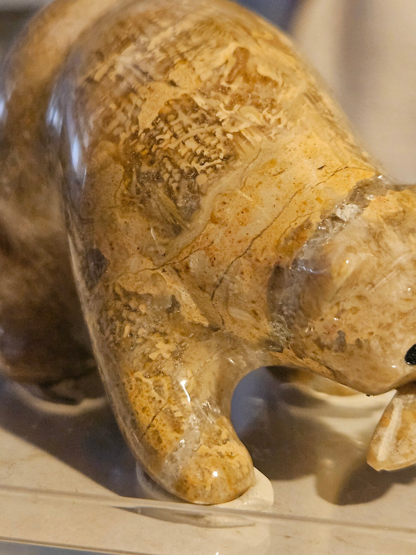 Polished Fossil Coral Bear w/ fish [25 million years old] [Philippines]