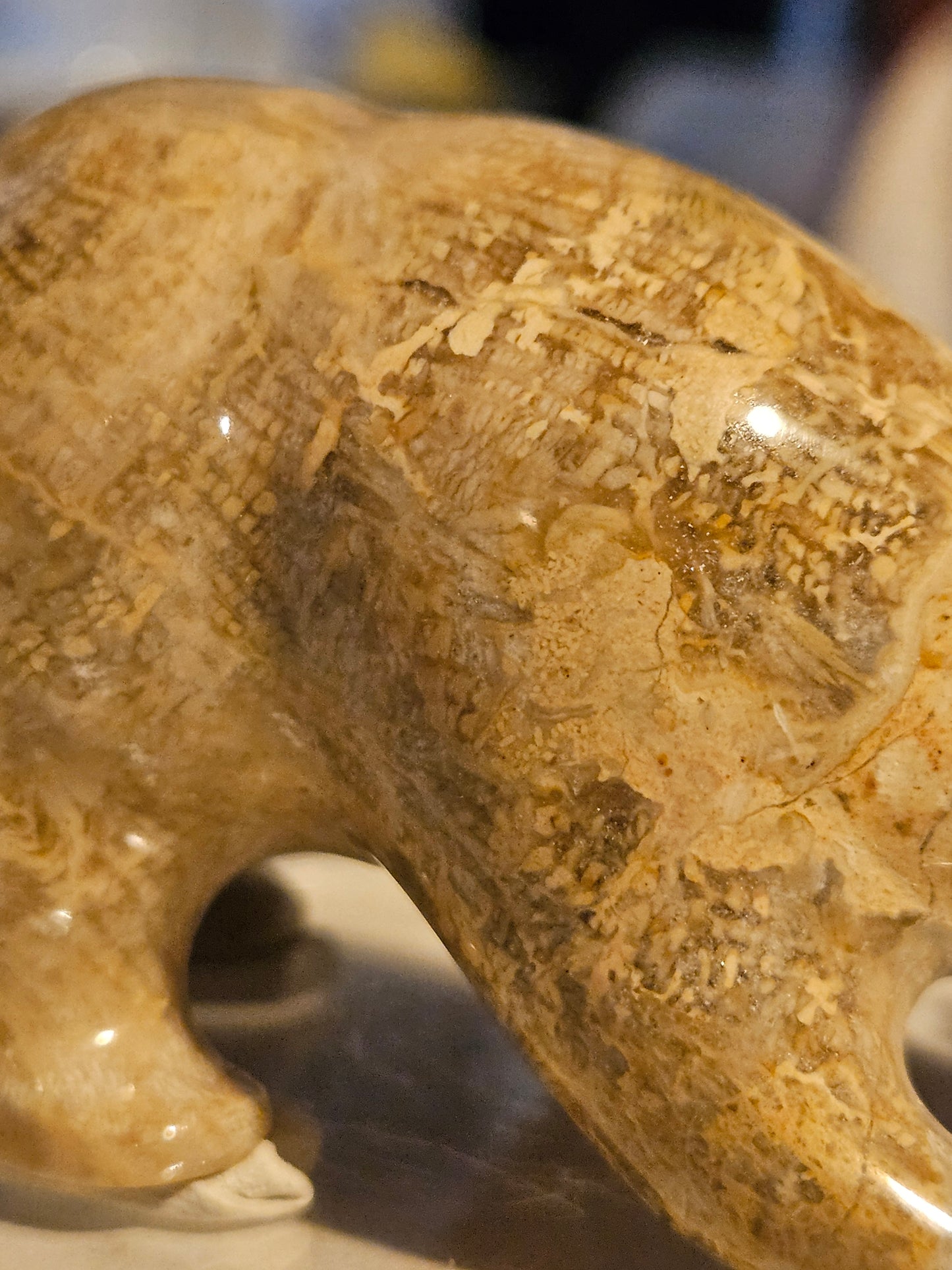 Polished Fossil Coral Bear w/ fish [25 million years old] [Philippines]