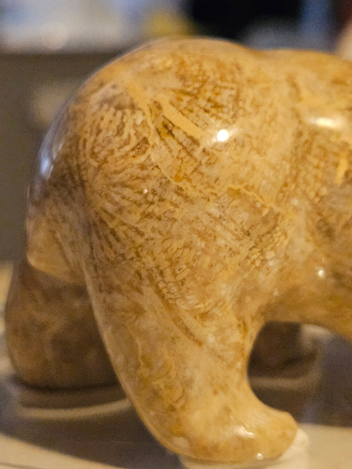 Polished Fossil Coral Bear w/ fish [25 million years old] [Philippines]