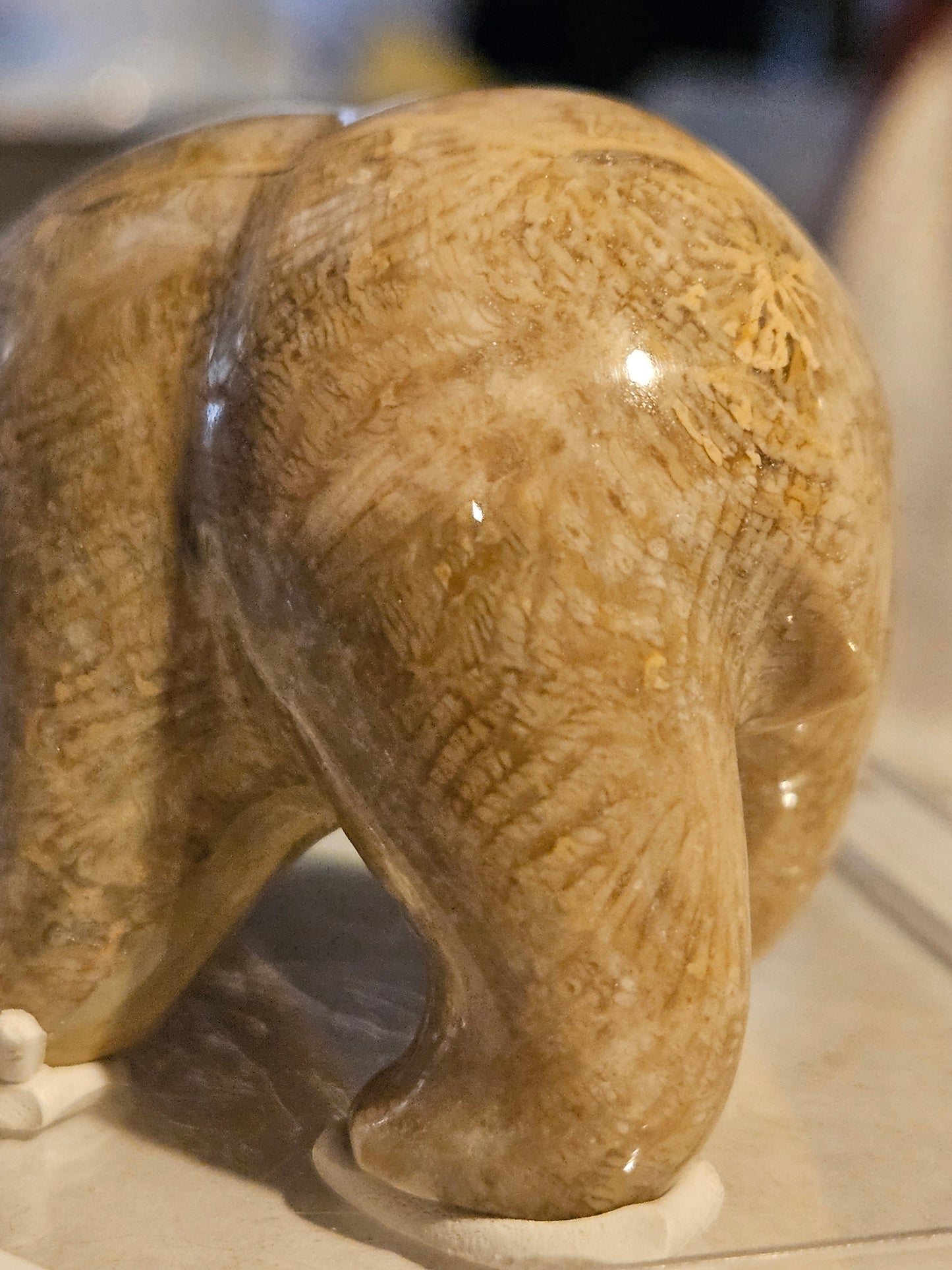 Polished Fossil Coral Bear w/ fish [25 million years old] [Philippines]