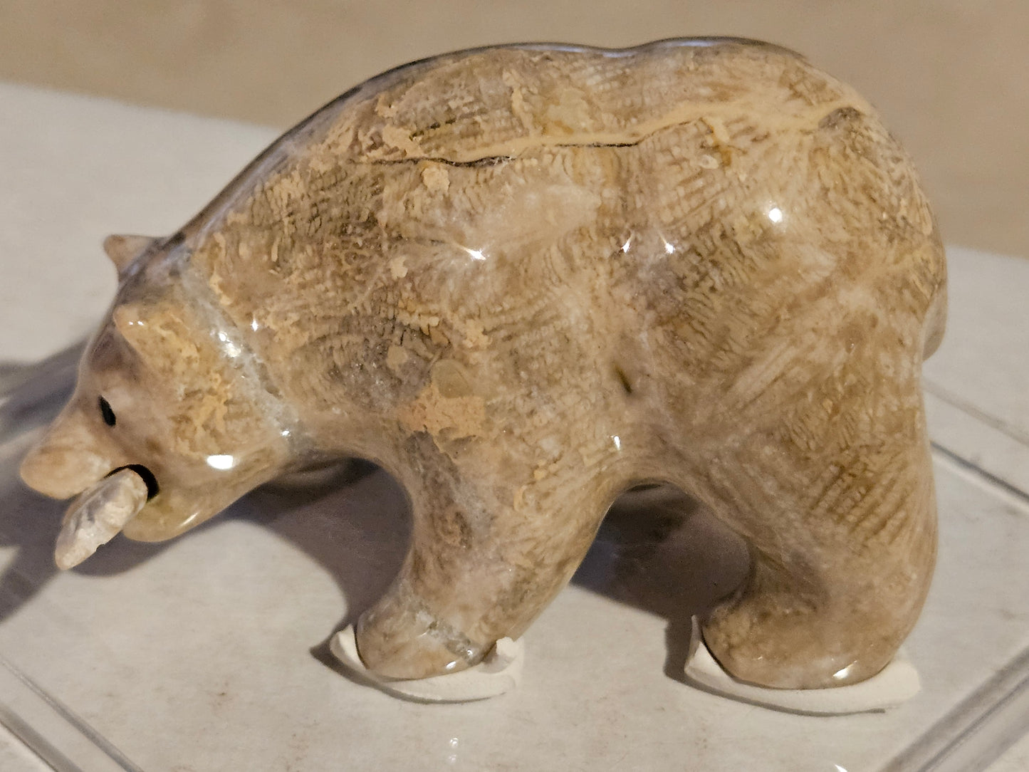 Polished Fossil Coral Bear w/ fish [25 million years old] [Philippines]