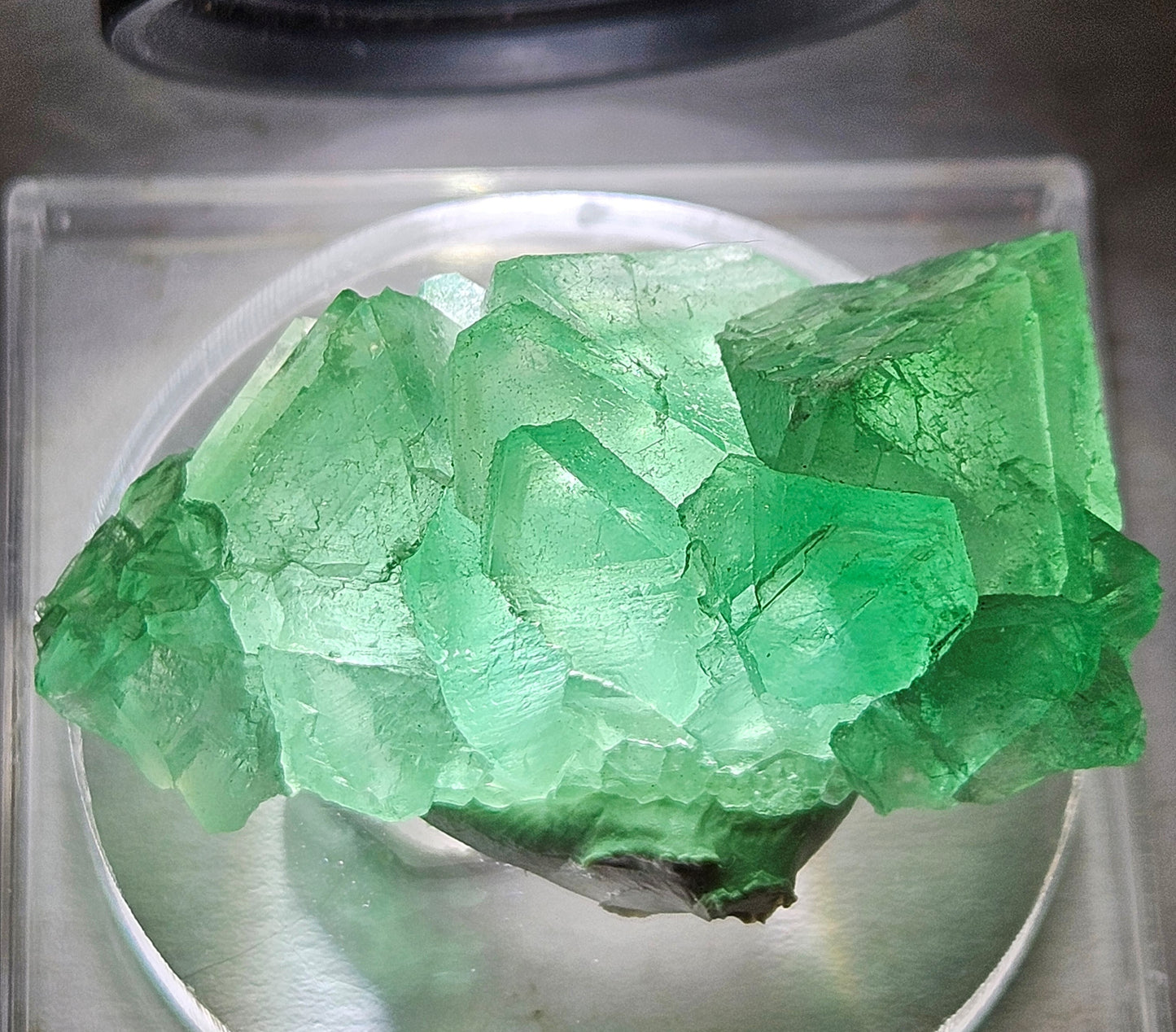 Apple-Green Octahedral Fluorite Cluster