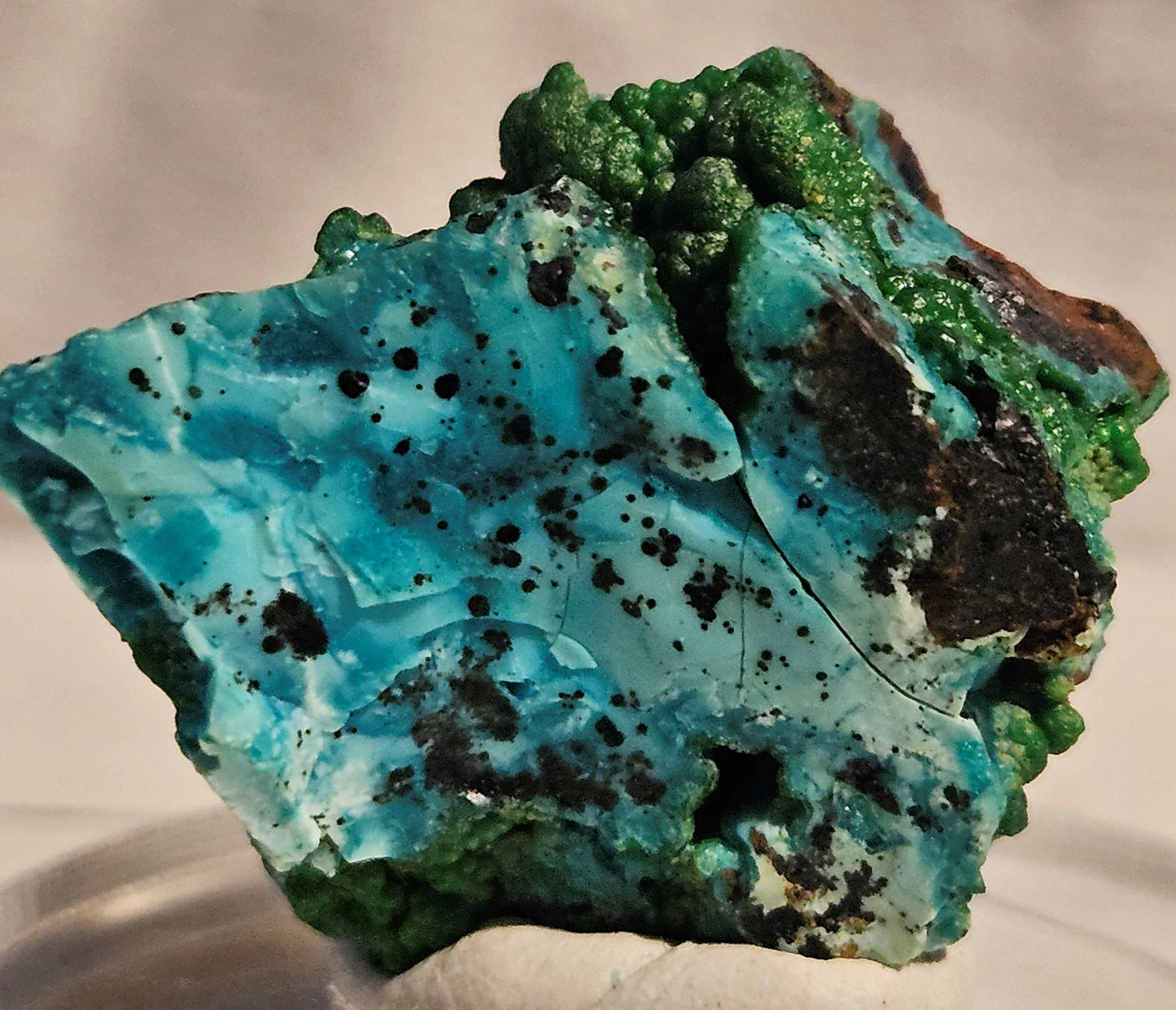 Conichalcite w/Chrysocolla (Namibia)- Vibrant Green