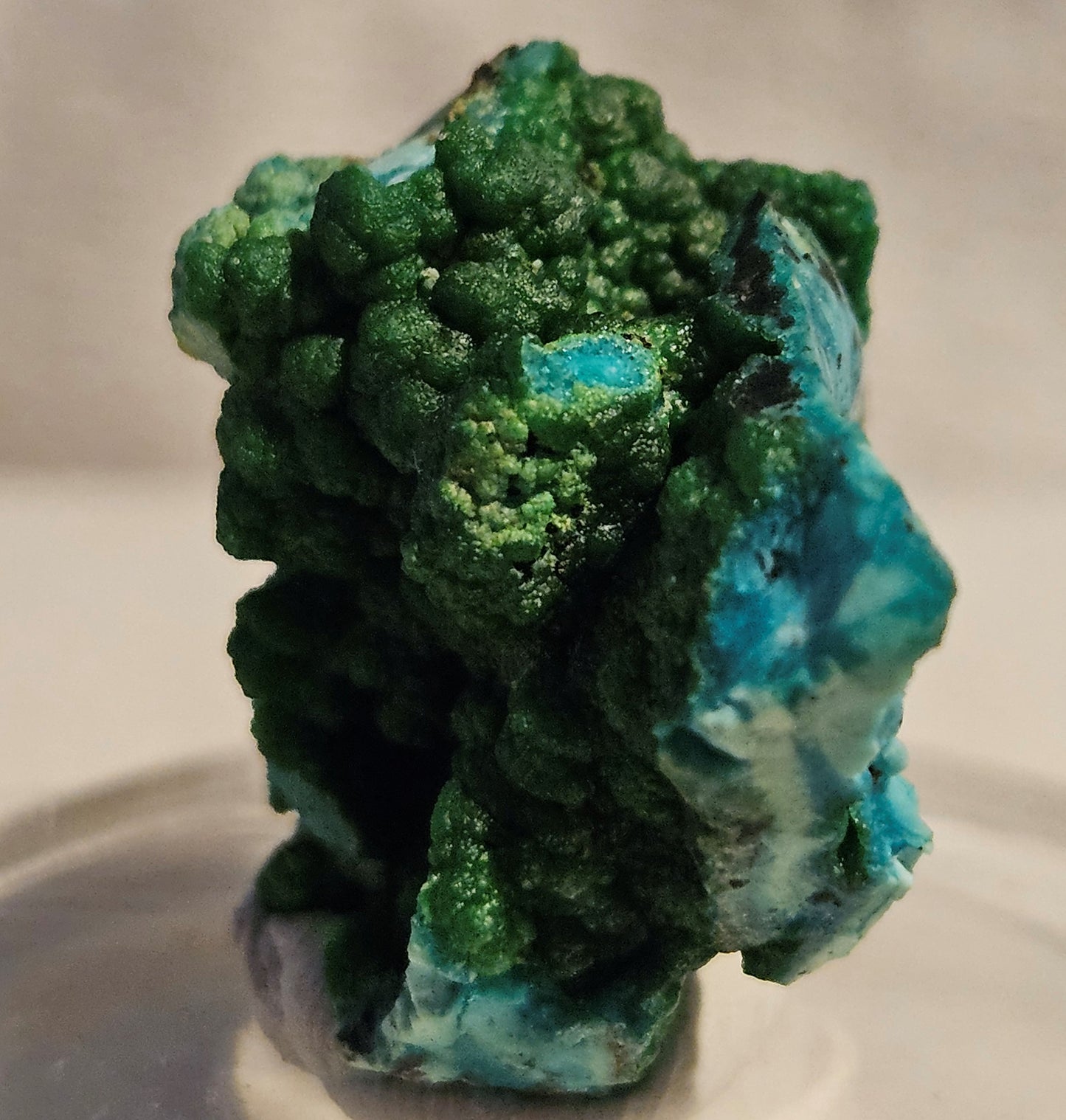 Conichalcite w/Chrysocolla (Namibia)- Vibrant Green