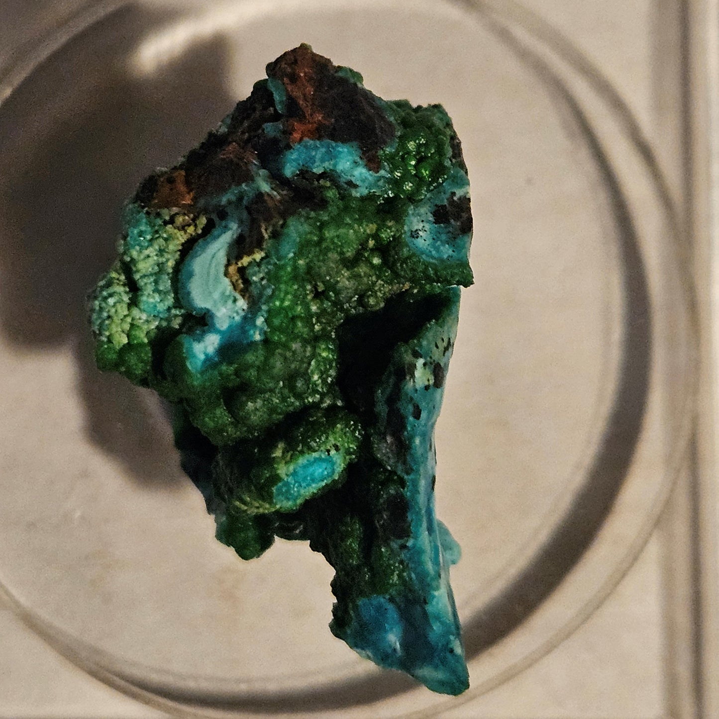 Conichalcite w/Chrysocolla (Namibia)- Vibrant Green