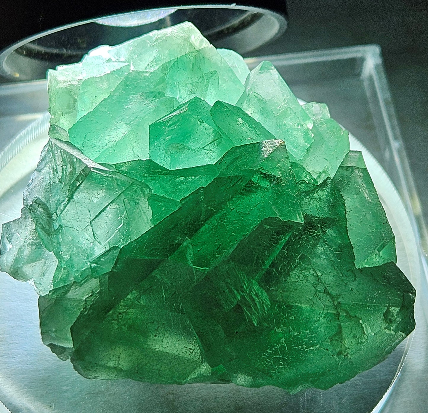 Apple-Green Octahedral Fluorite Cluster