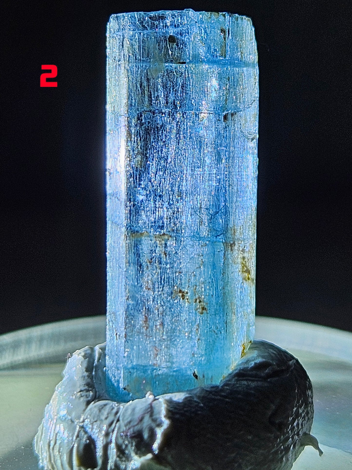 Gemmy Blue AquaMarine (Vietnam)