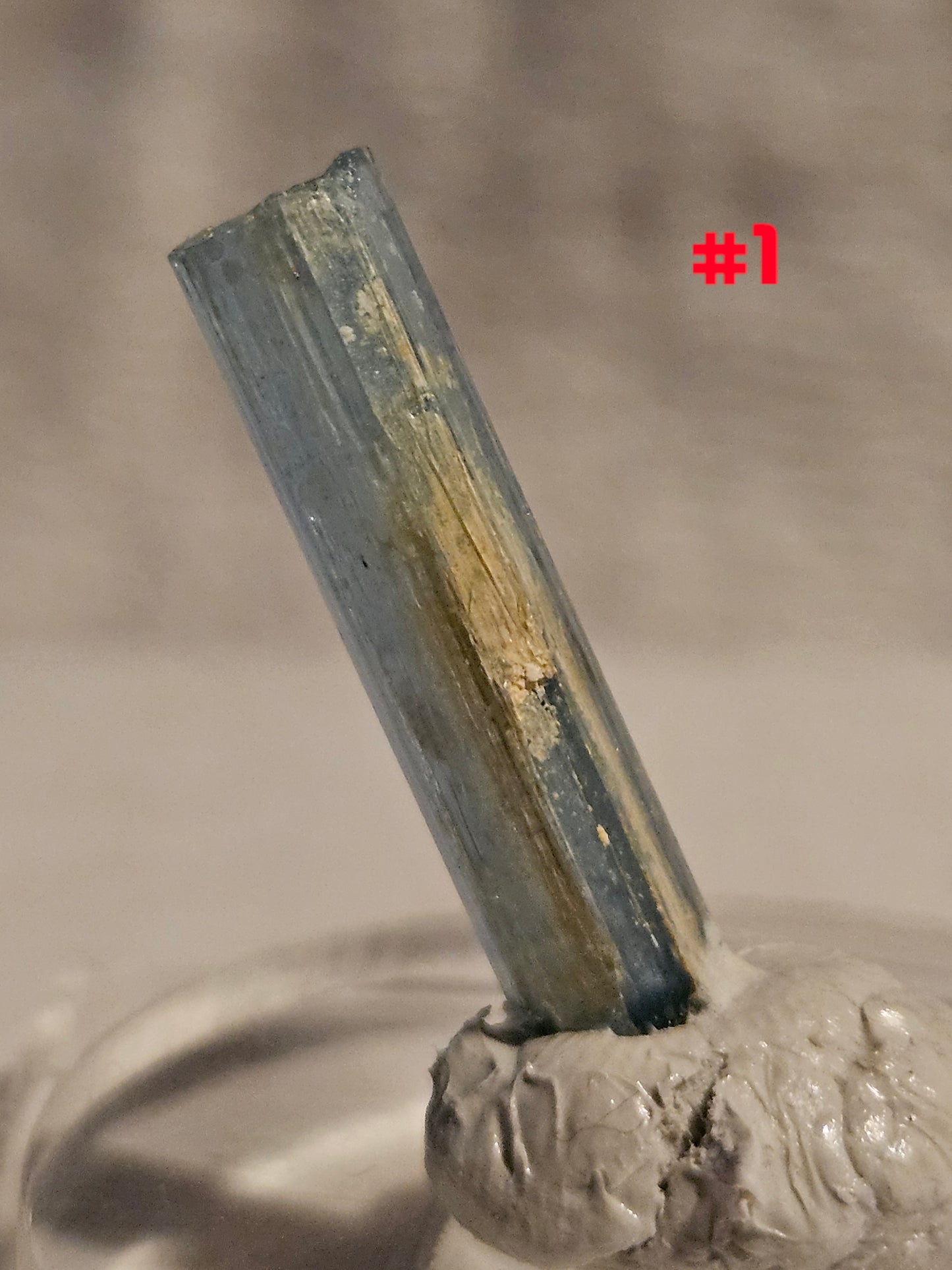 Gemmy Blue AquaMarine (Vietnam)