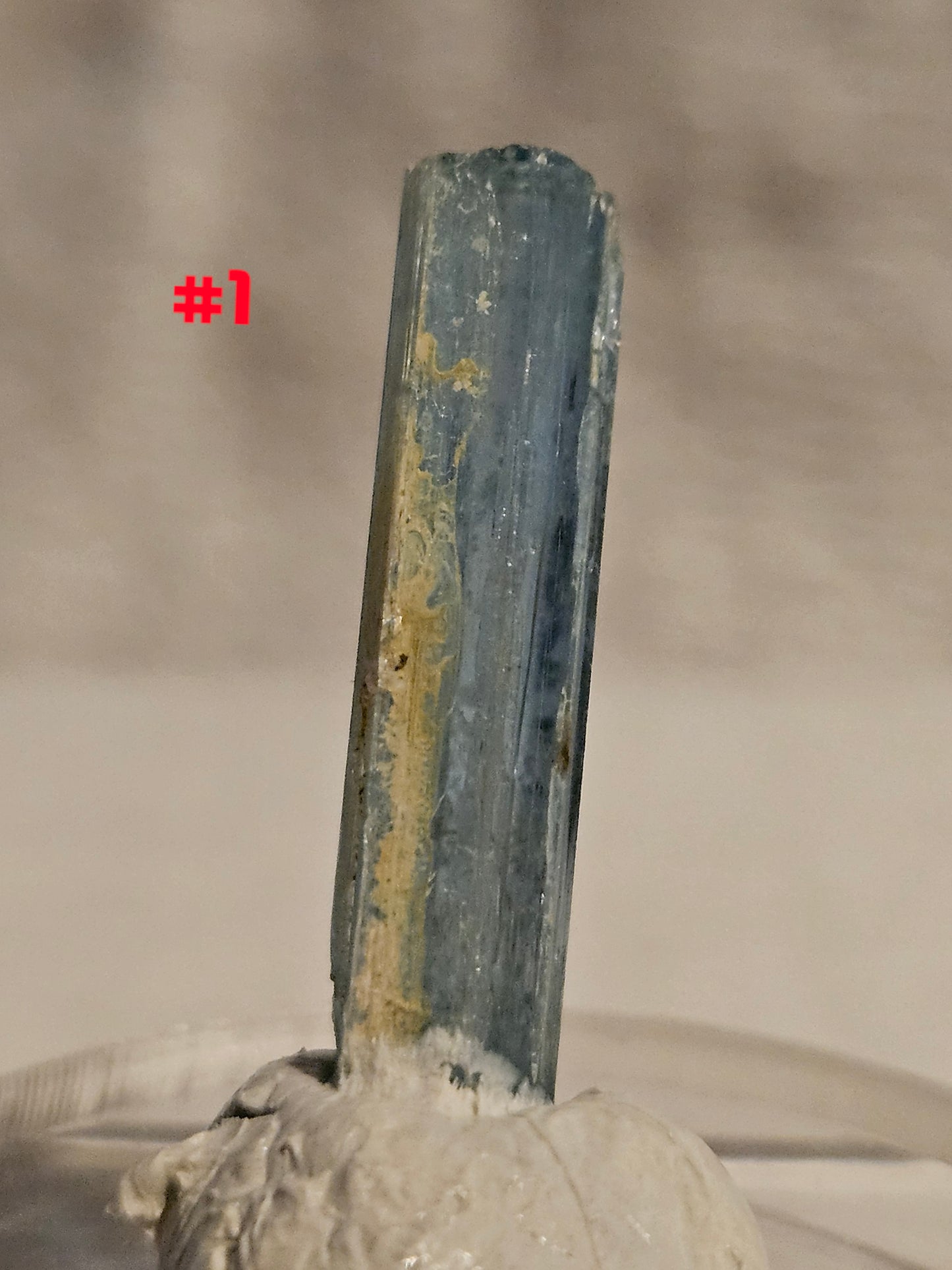 Gemmy Blue AquaMarine (Vietnam)