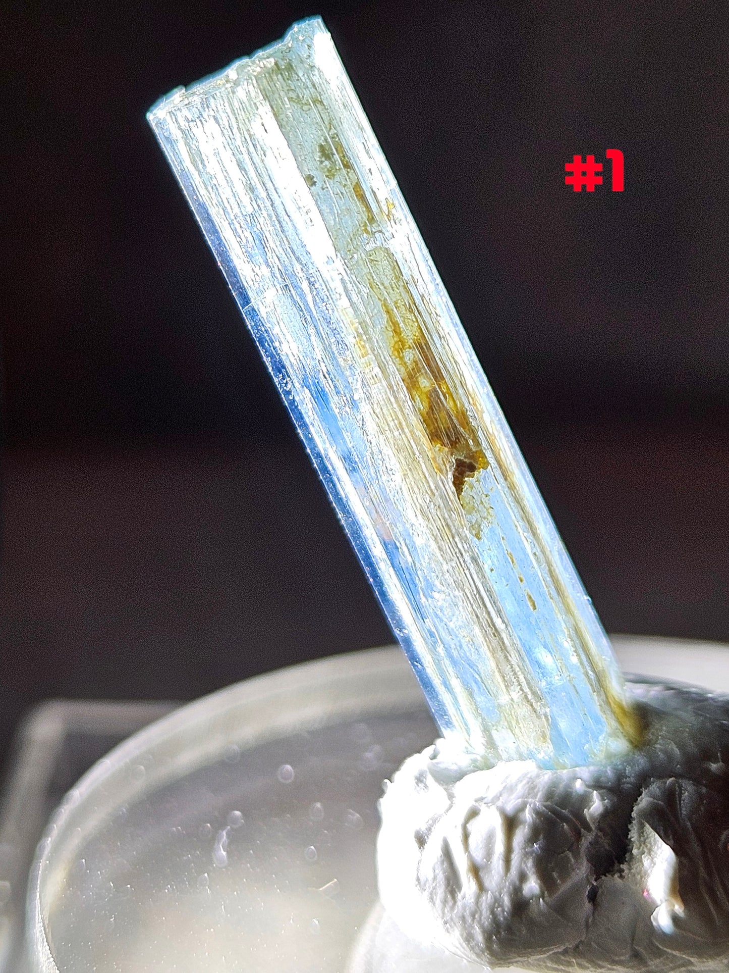 Gemmy Blue AquaMarine (Vietnam)