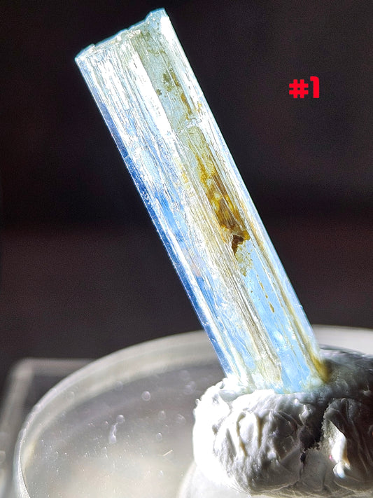 Gemmy Blue AquaMarine (Vietnam)