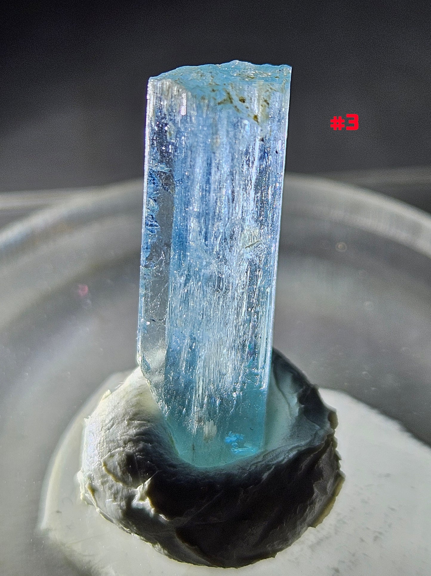 Gemmy Blue AquaMarine (Vietnam)