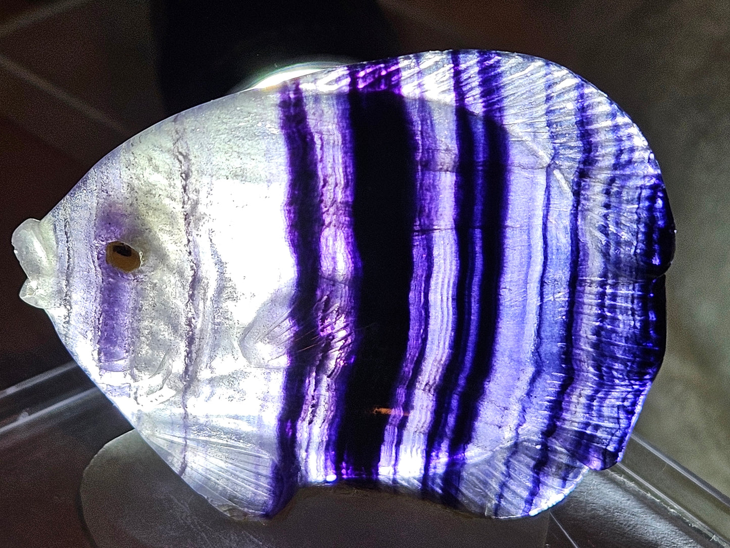 Purple Fluorite Fish Carving