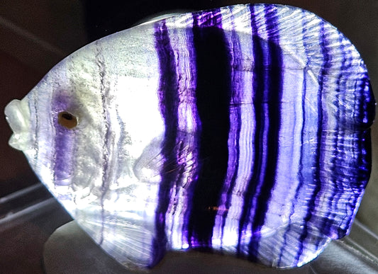 Purple Fluorite Fish Carving
