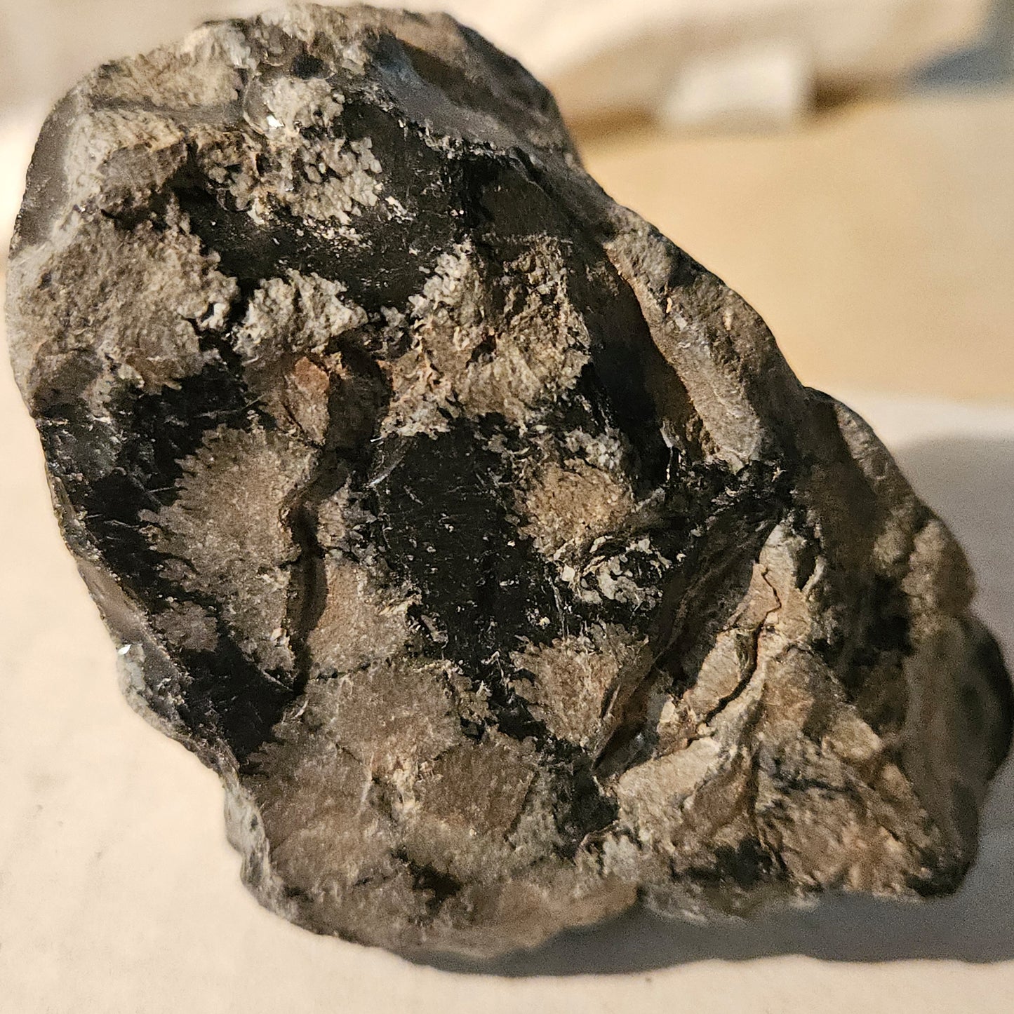 Snowflake Obsidian - (large raw)