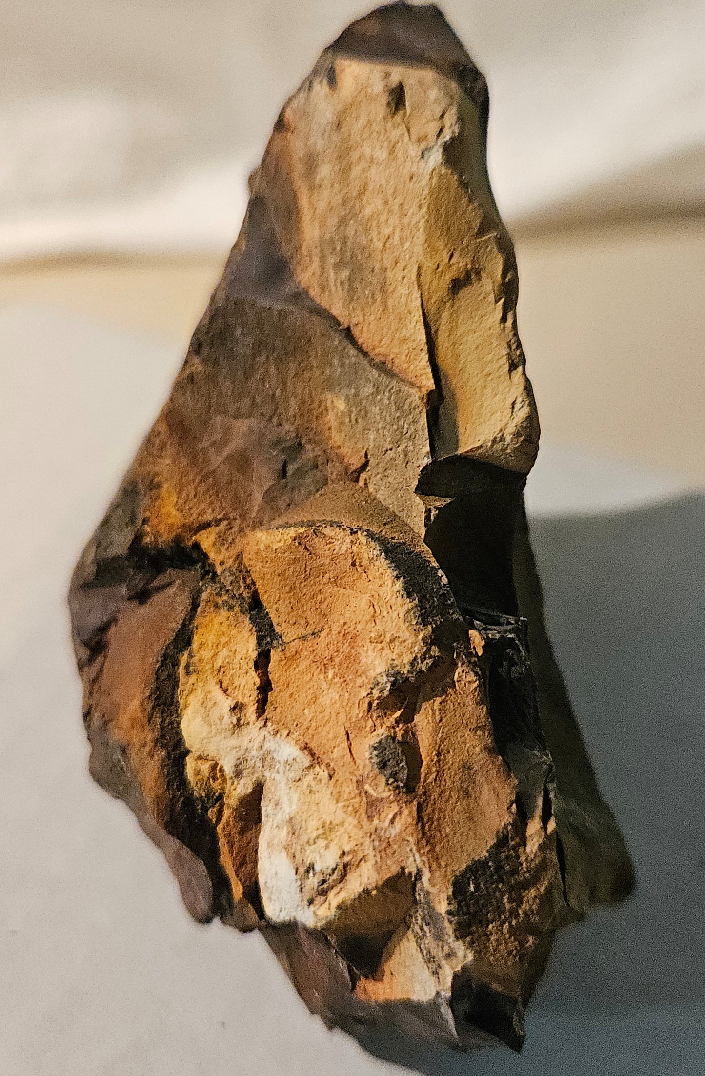 Mooka Jasper [Mookaite] Raw