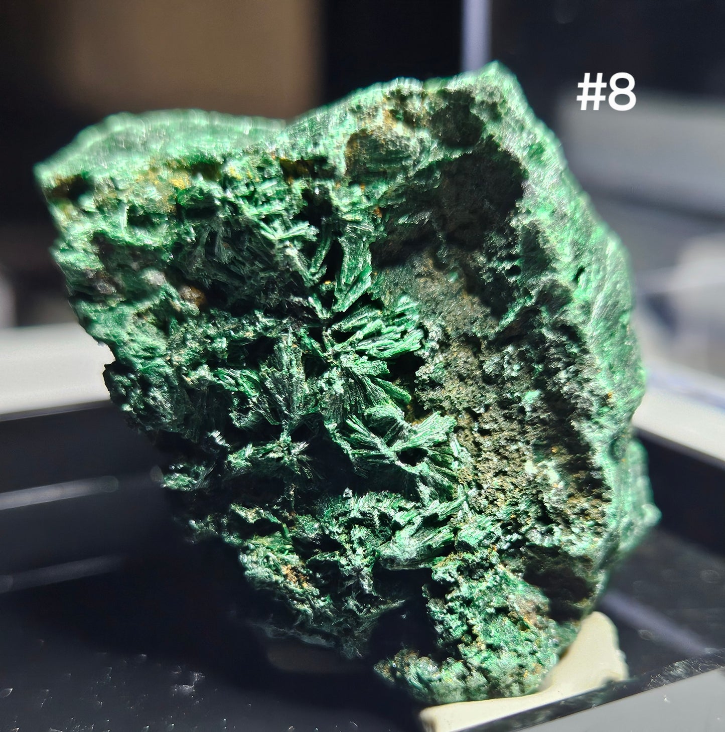 Malachite (Velvet/Raw)