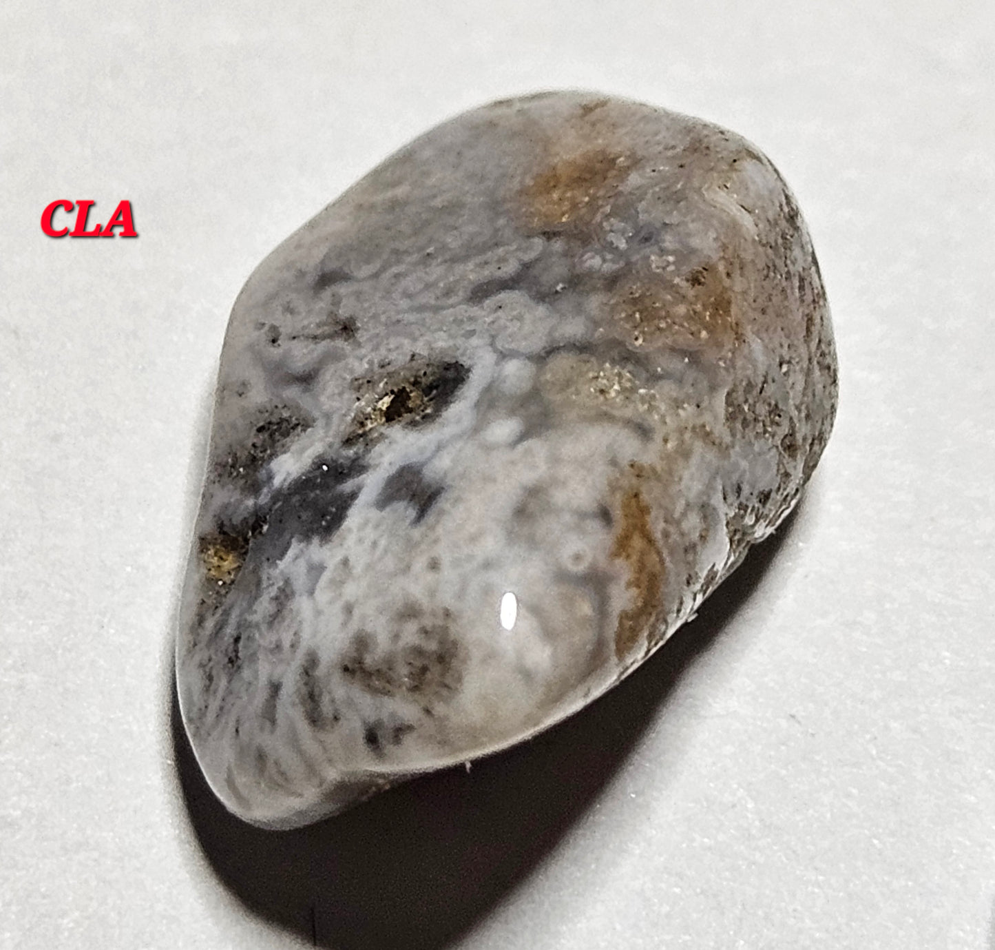 Crazy Lace Agate Tumble (S)