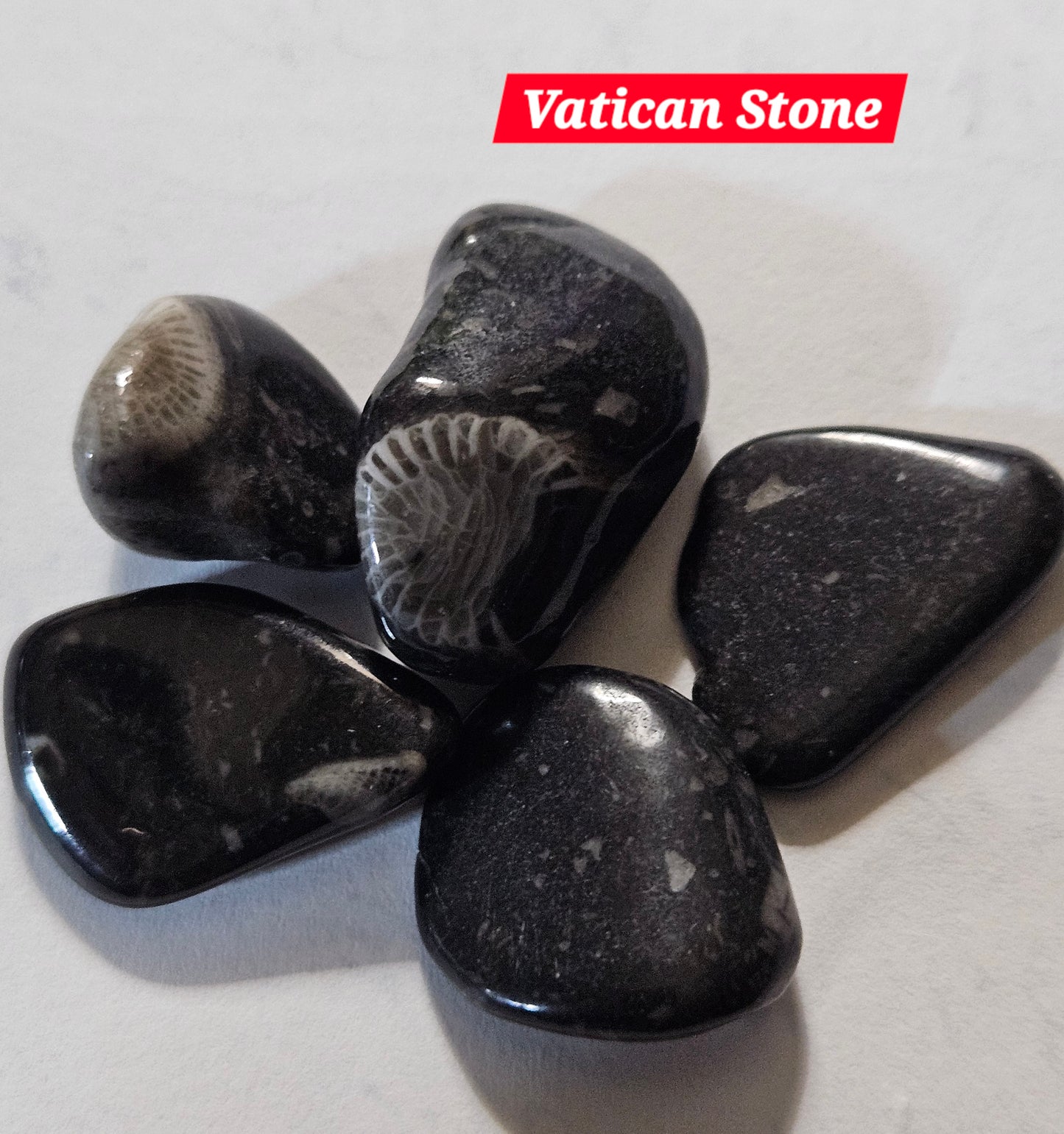 Vatican Stone Tumble Stone