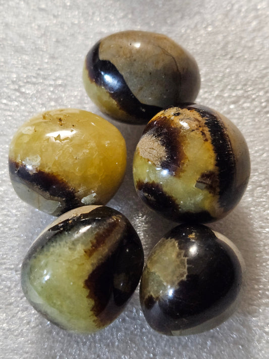 Septarian Tumble Stone