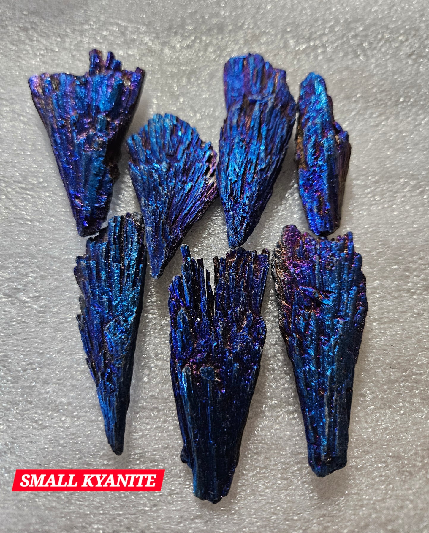 Titanium Blue Kyanite Fans - Small