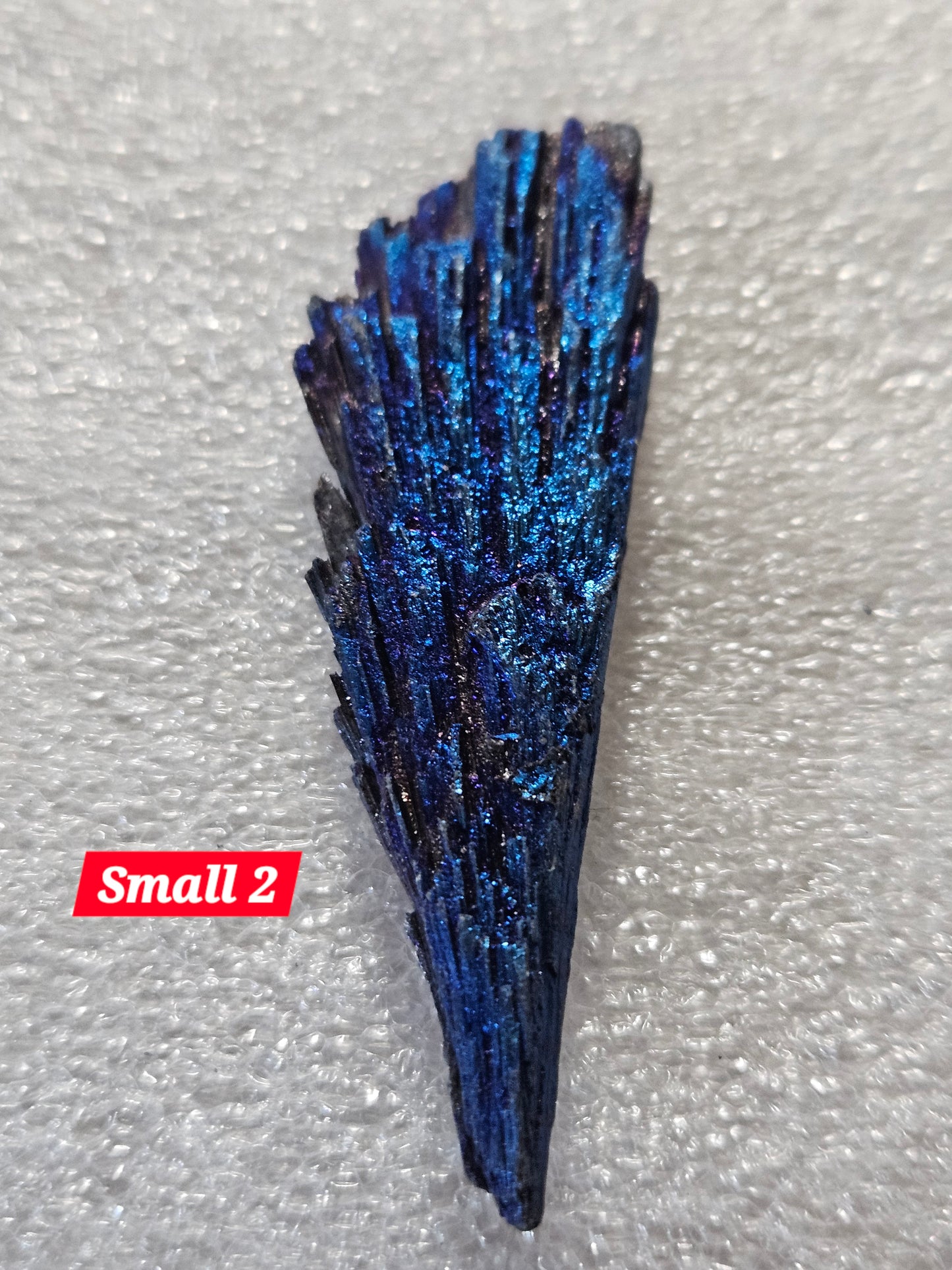 Titanium Blue Kyanite Fans - Small