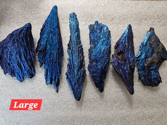 Titanium Blue Kyanite Fan - Large