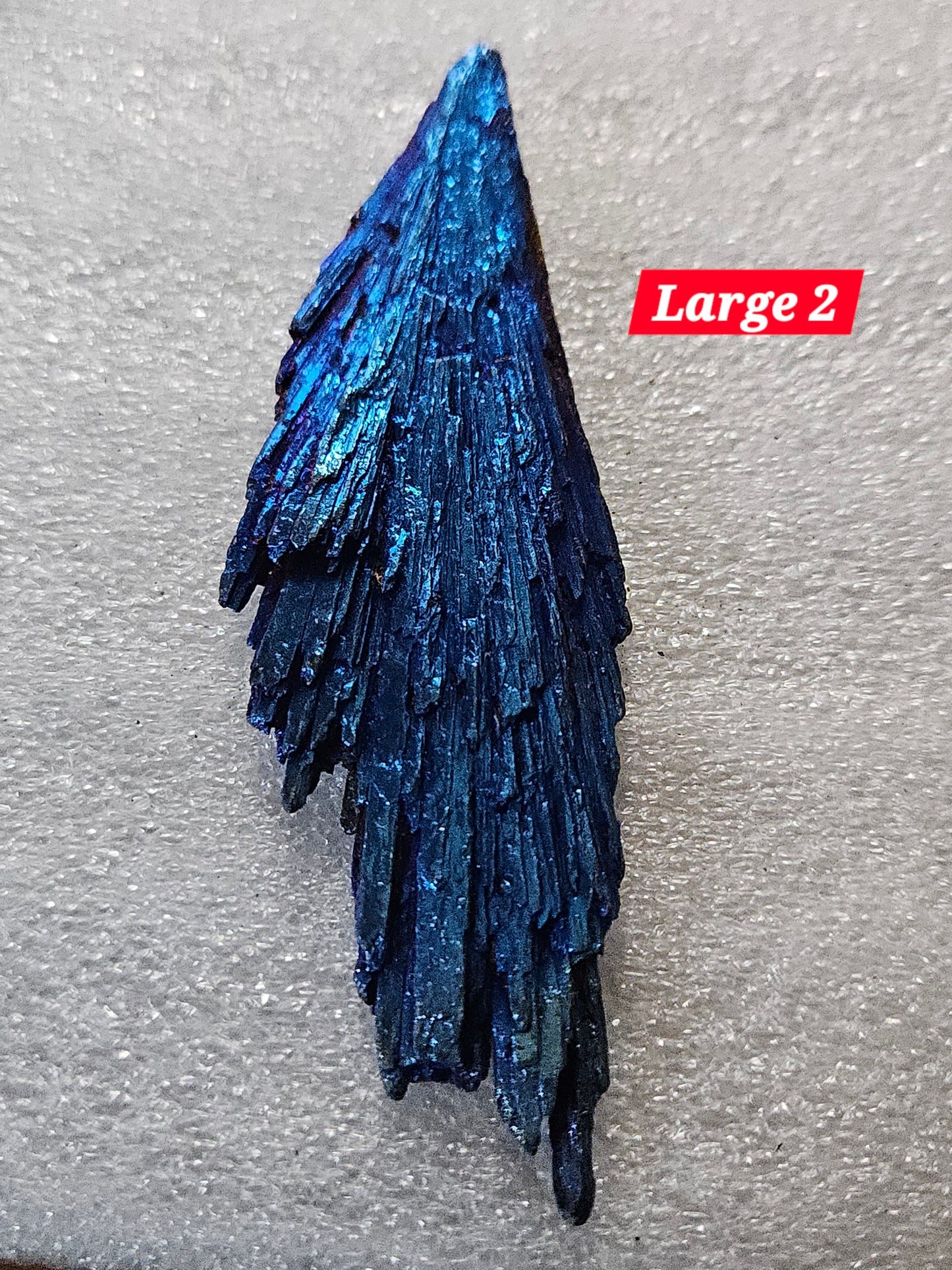 Titanium Blue Kyanite Fan - Large