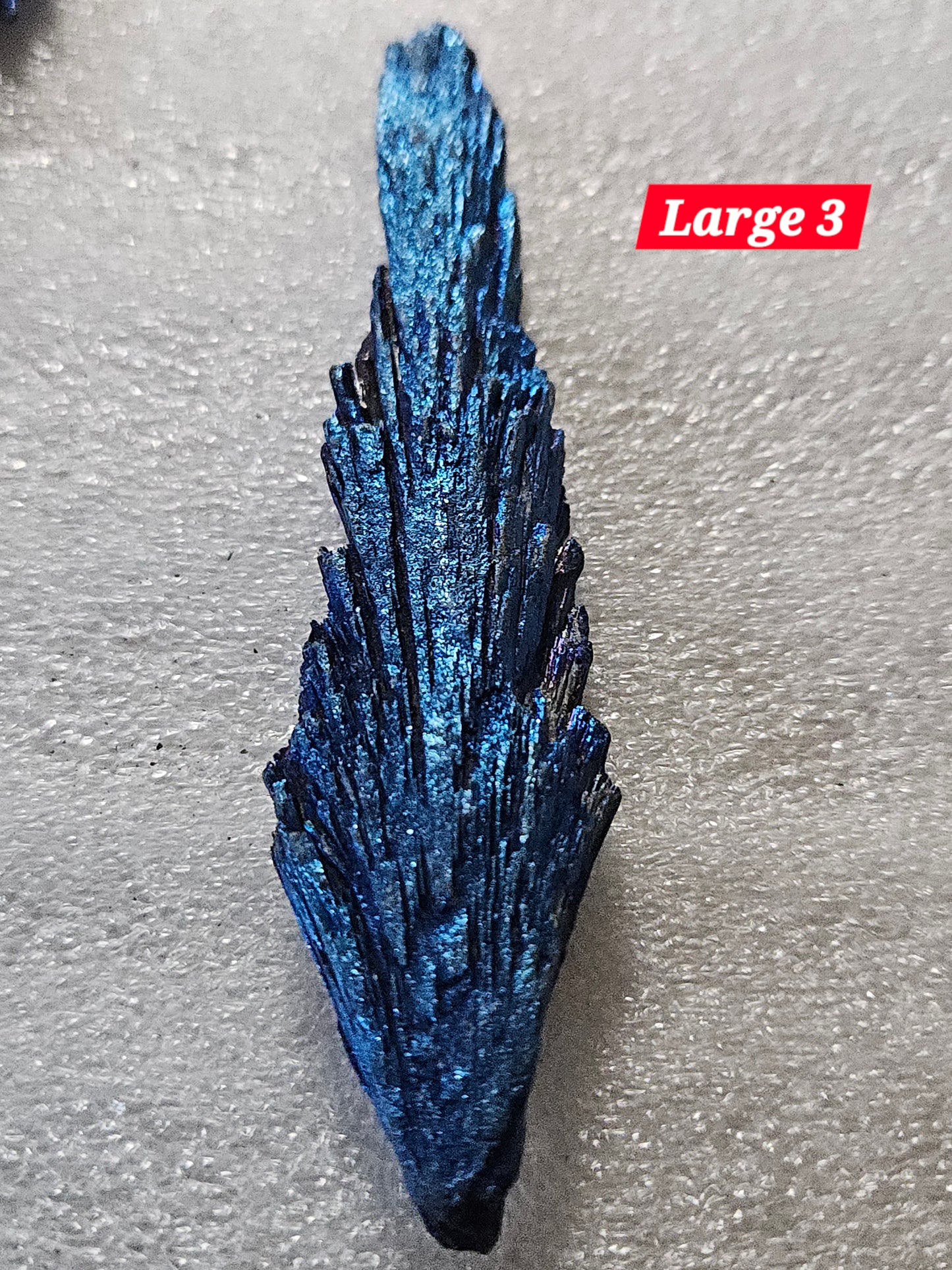 Titanium Blue Kyanite Fan - Large