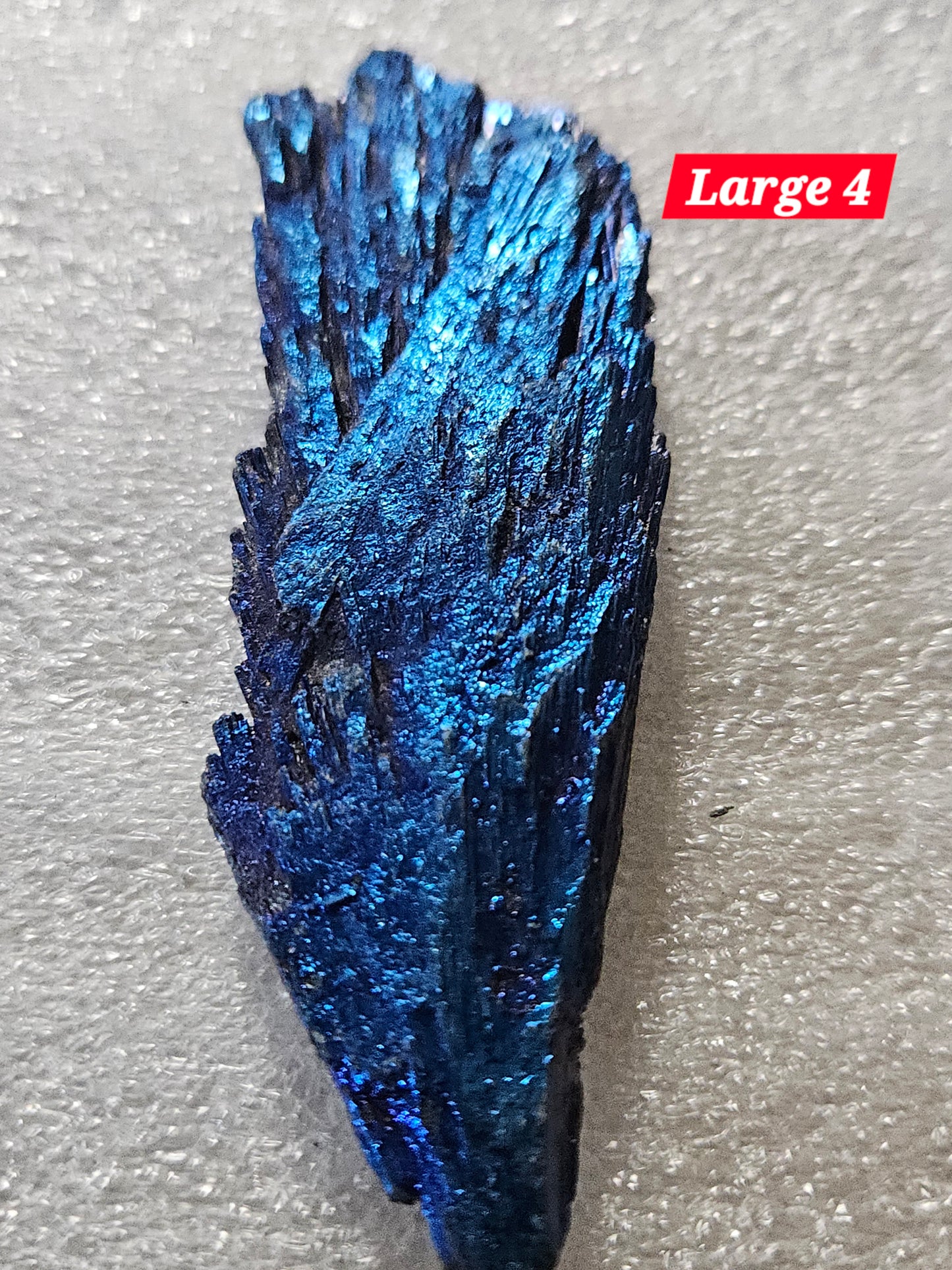 Titanium Blue Kyanite Fan - Large