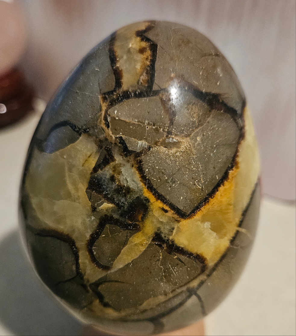 Septarian Crystal Egg (Dragon Stone)