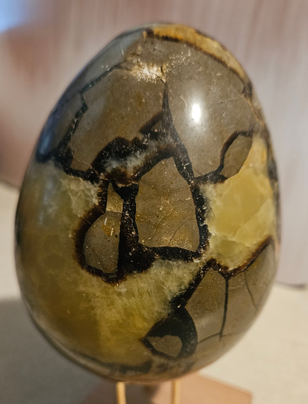 Septarian Crystal Egg (Dragon Stone)