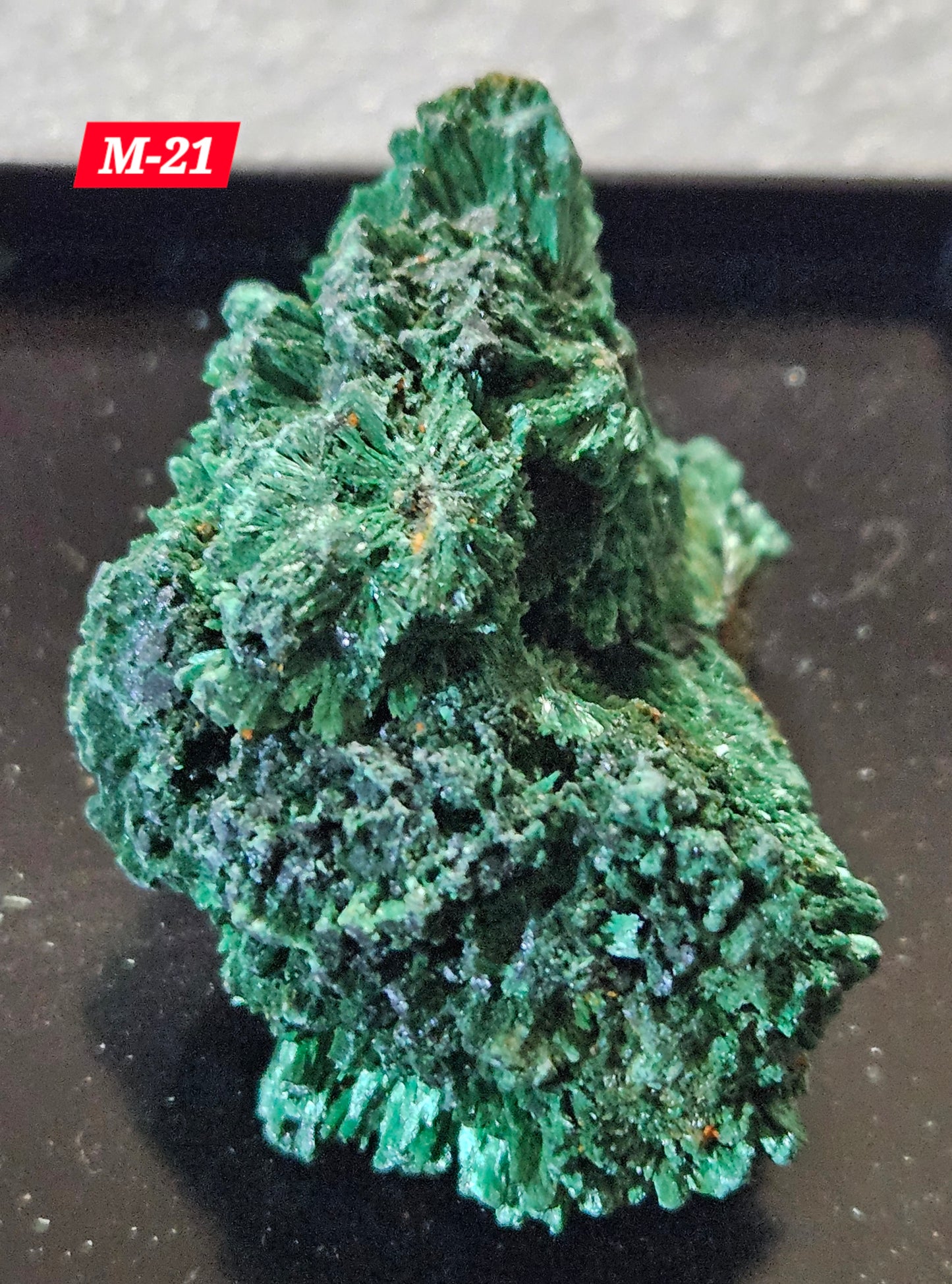 Malachite (Velvet/Raw)