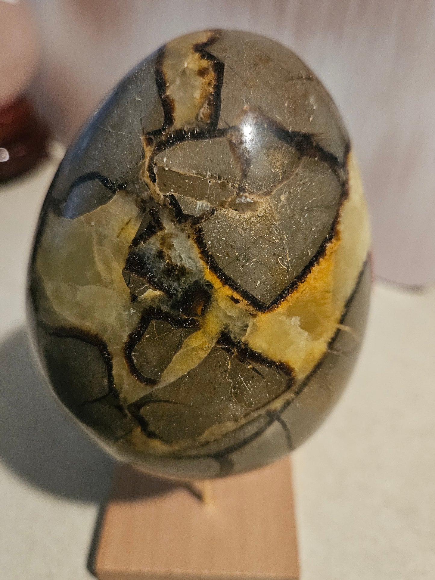 Septarian Crystal Egg (Dragon Stone)