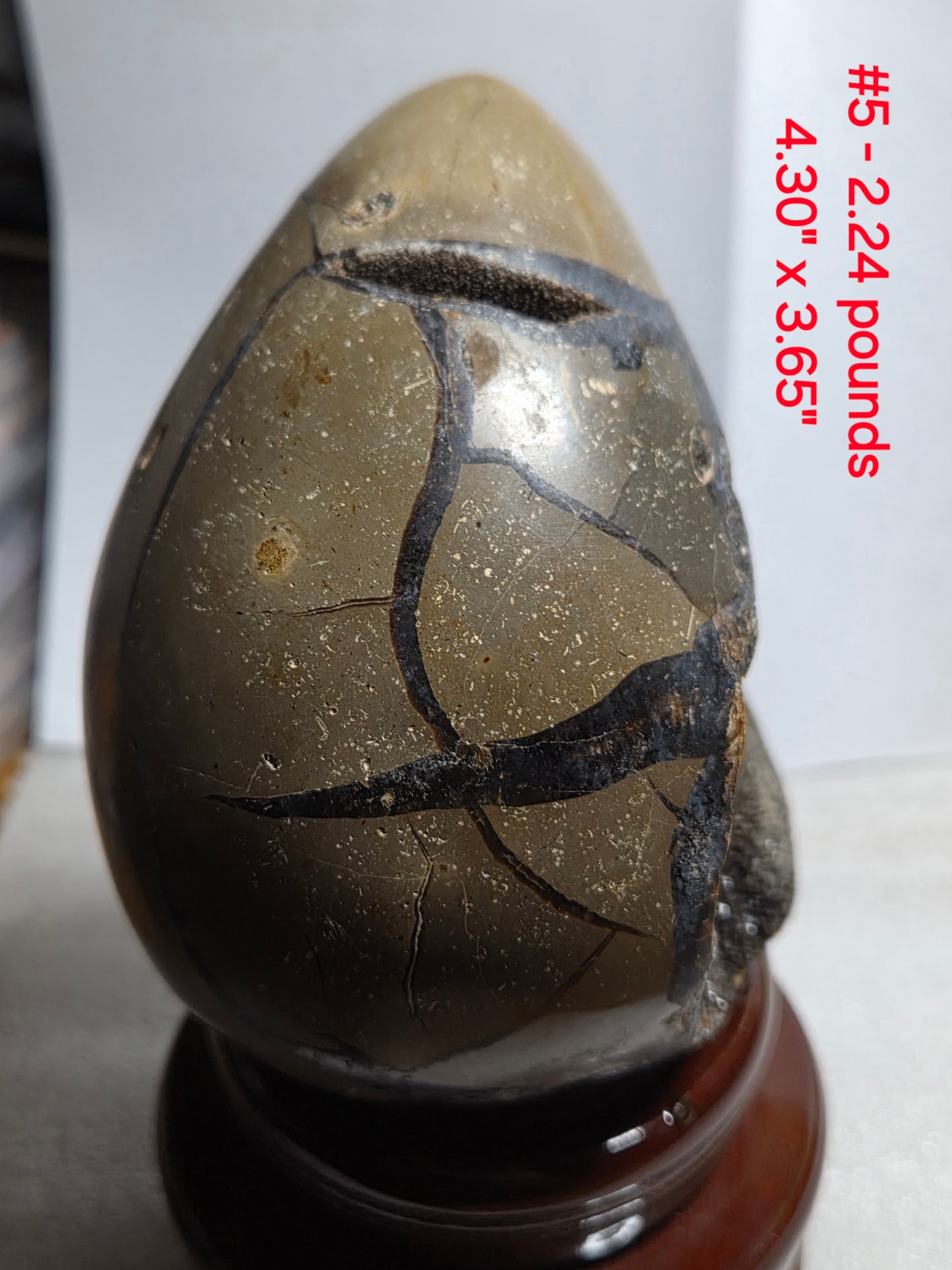 Septarian Eggs/Flame