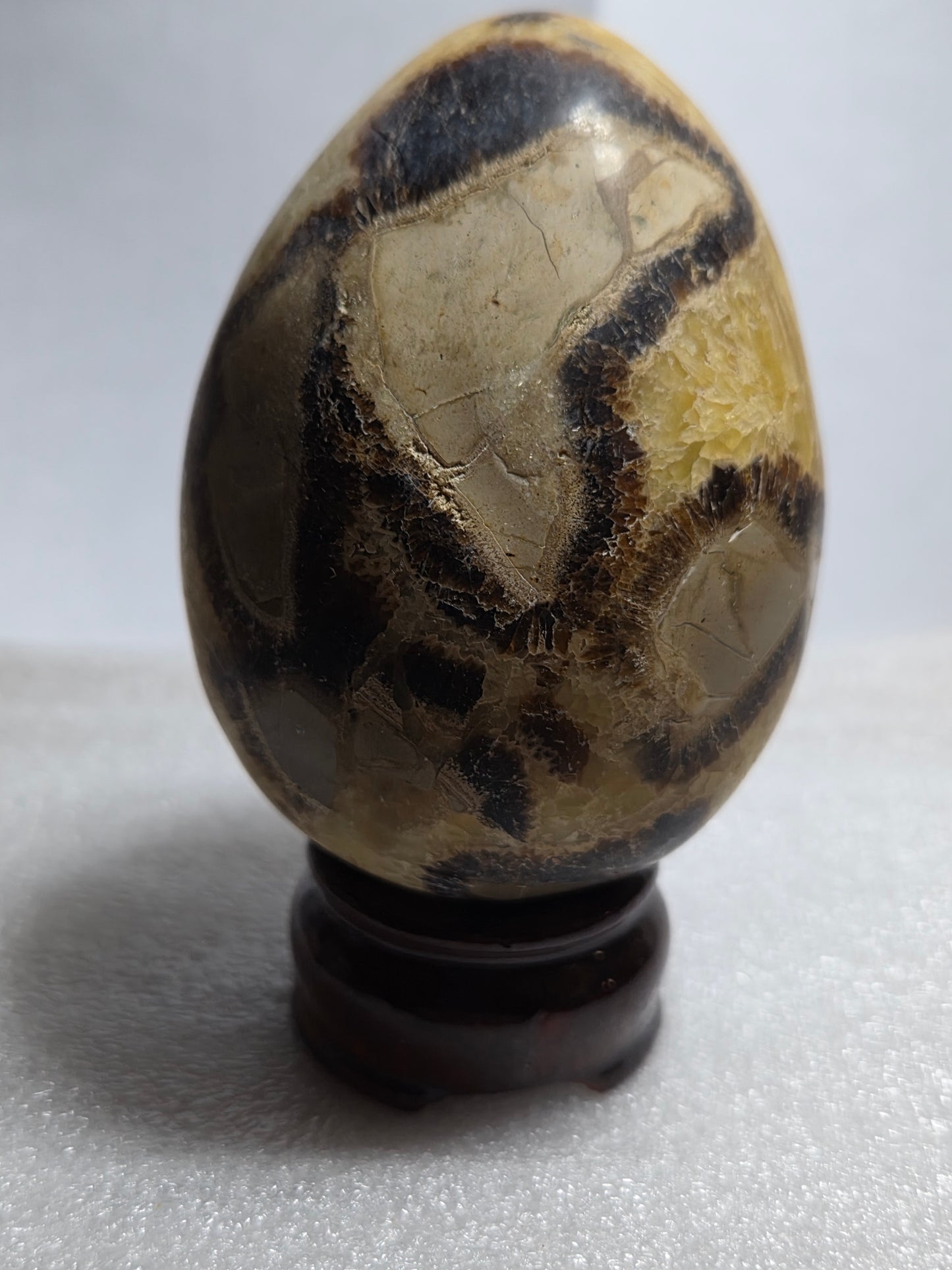 Septarian Eggs/Flame