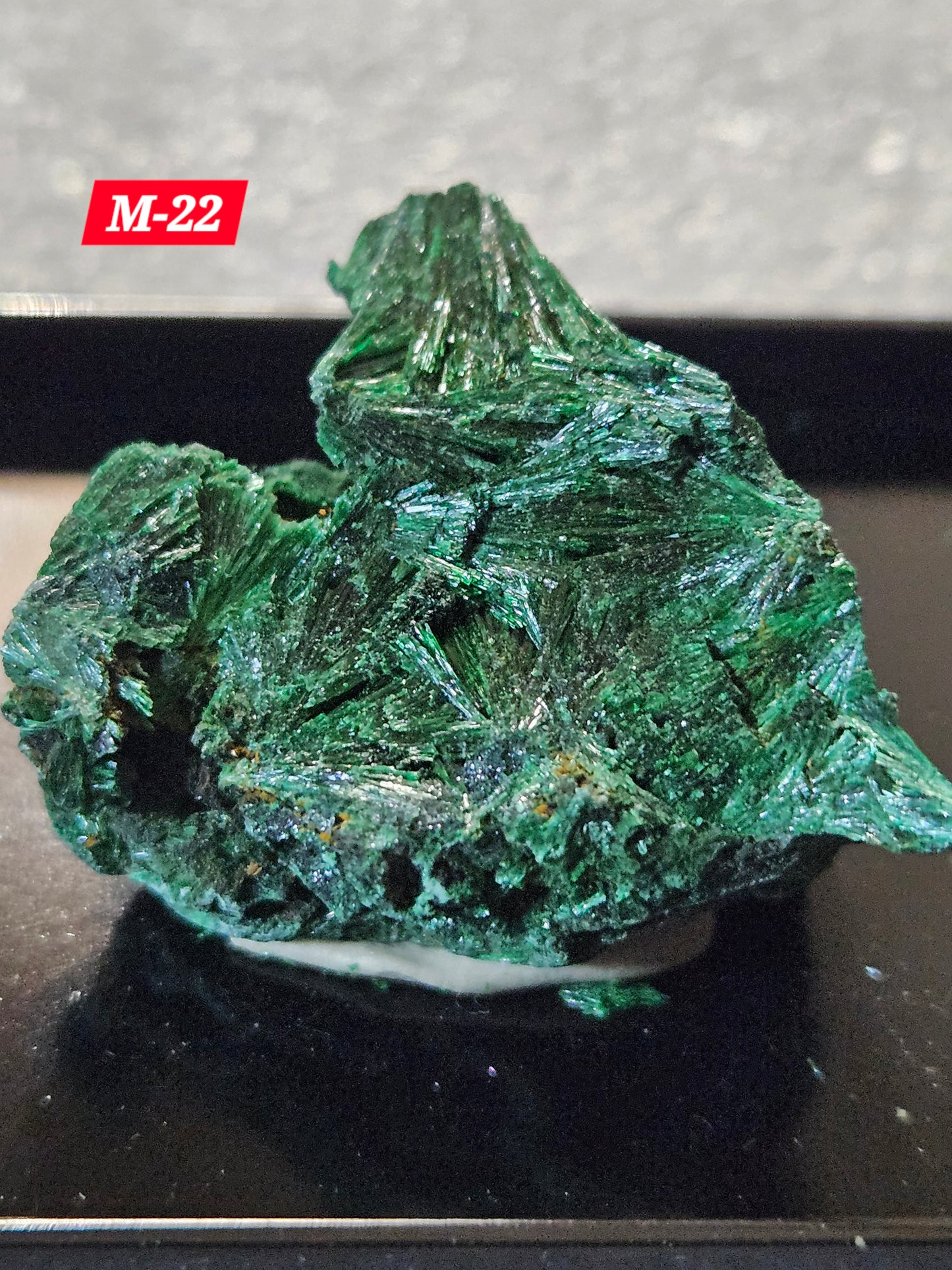 Malachite (Velvet/Raw)